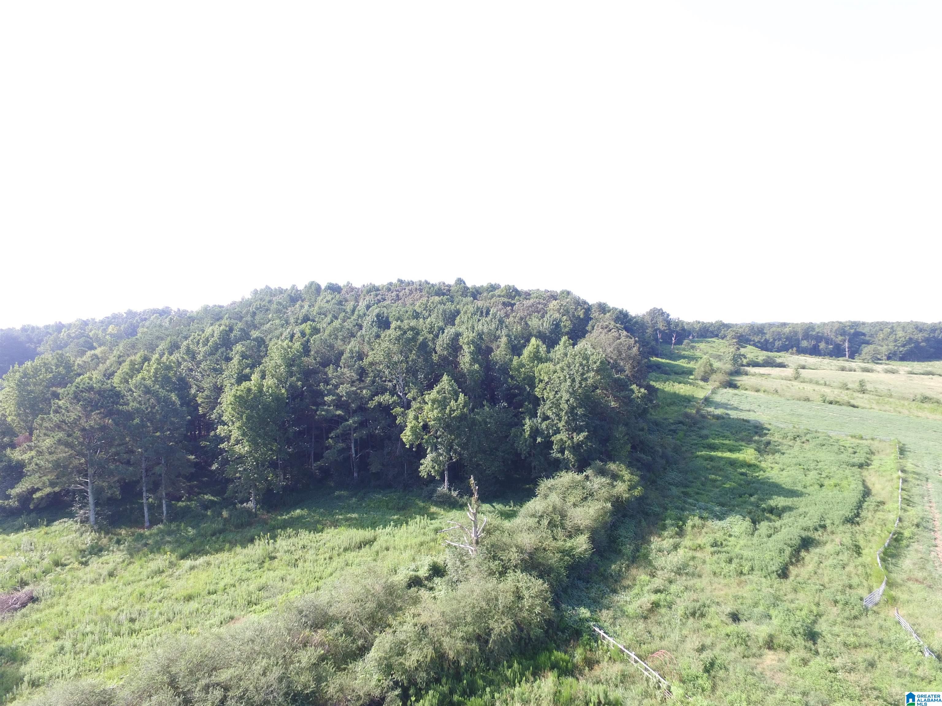 215 COUNTY ROAD 1041