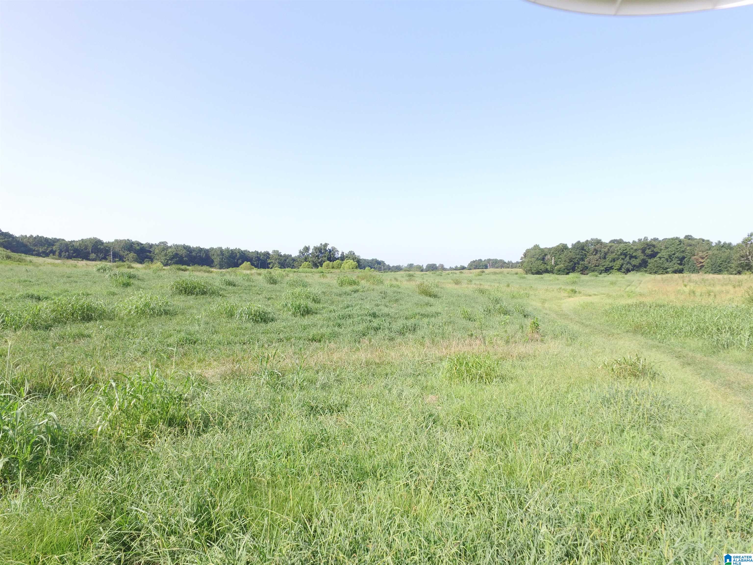 215 COUNTY ROAD 1041