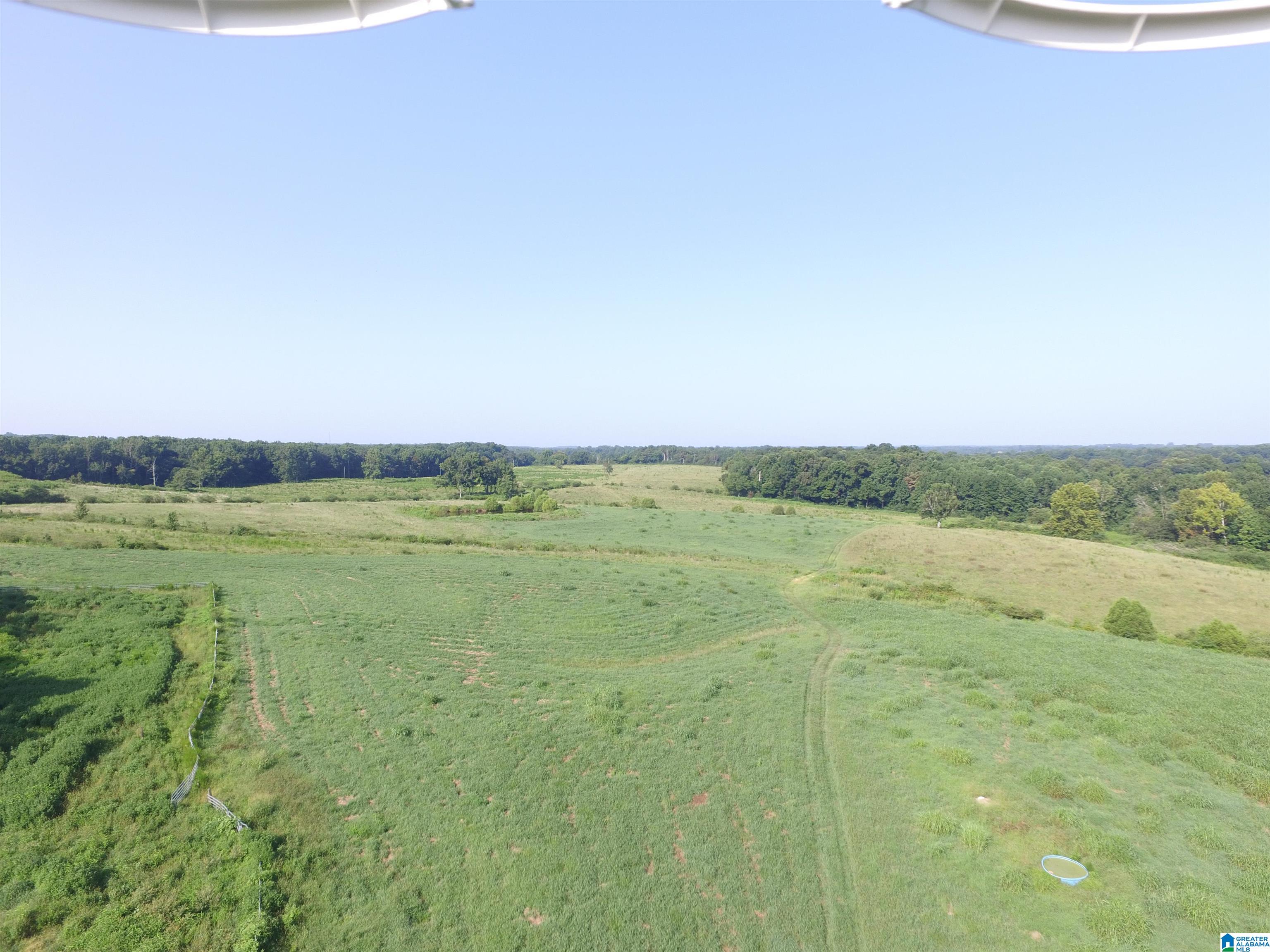 215 COUNTY ROAD 1041