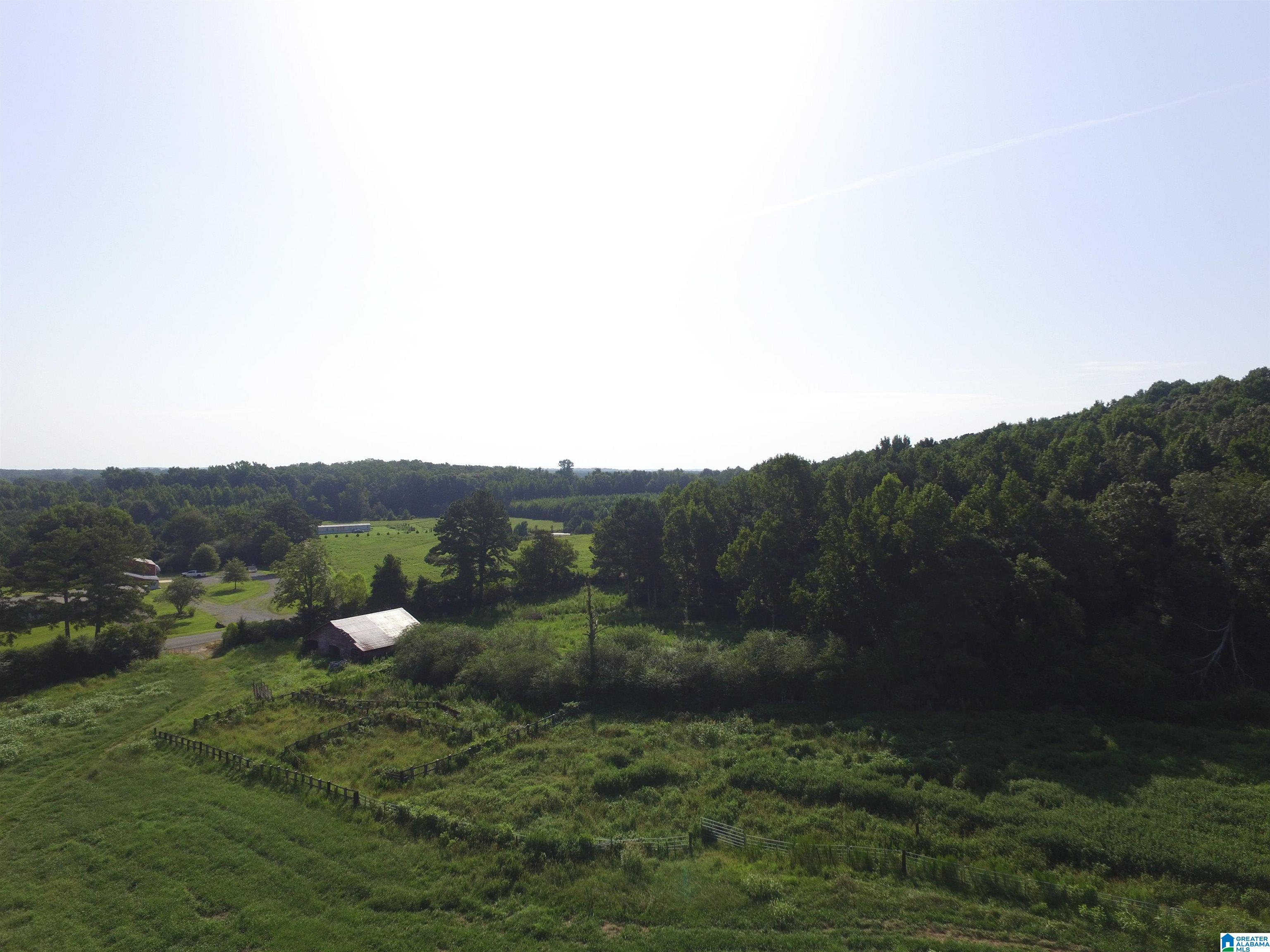 215 COUNTY ROAD 1041