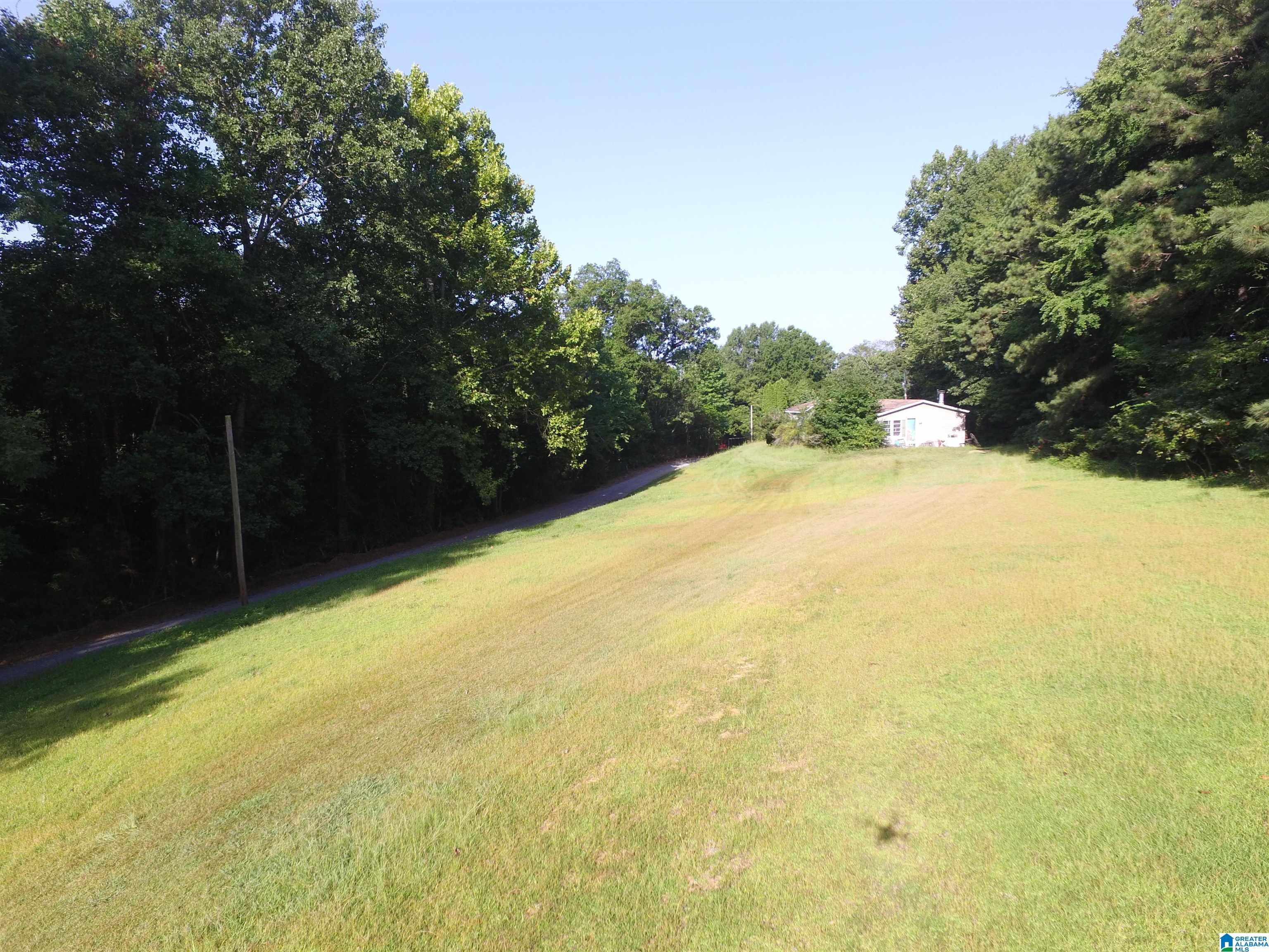 215 COUNTY ROAD 1041