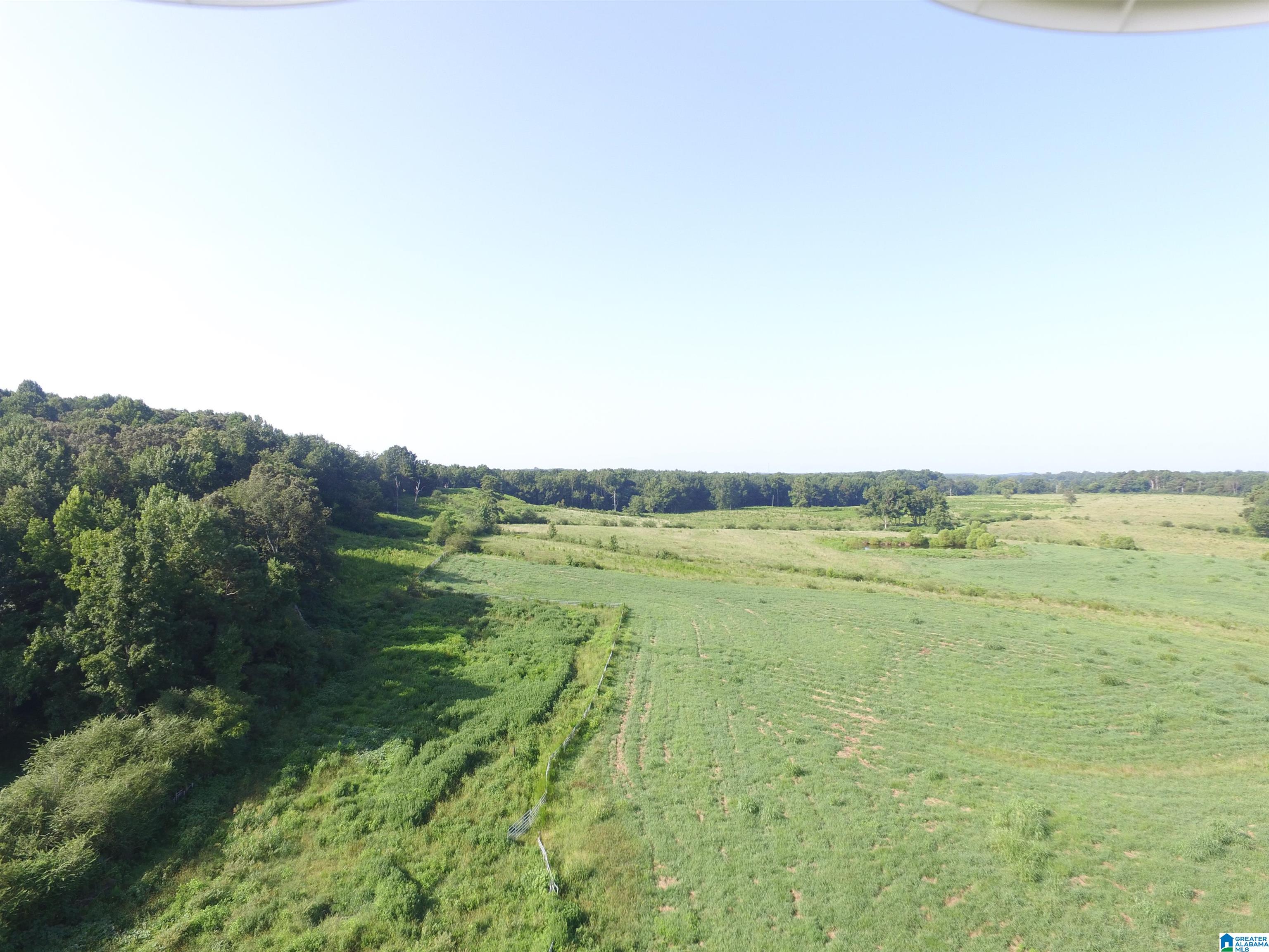215 COUNTY ROAD 1041
