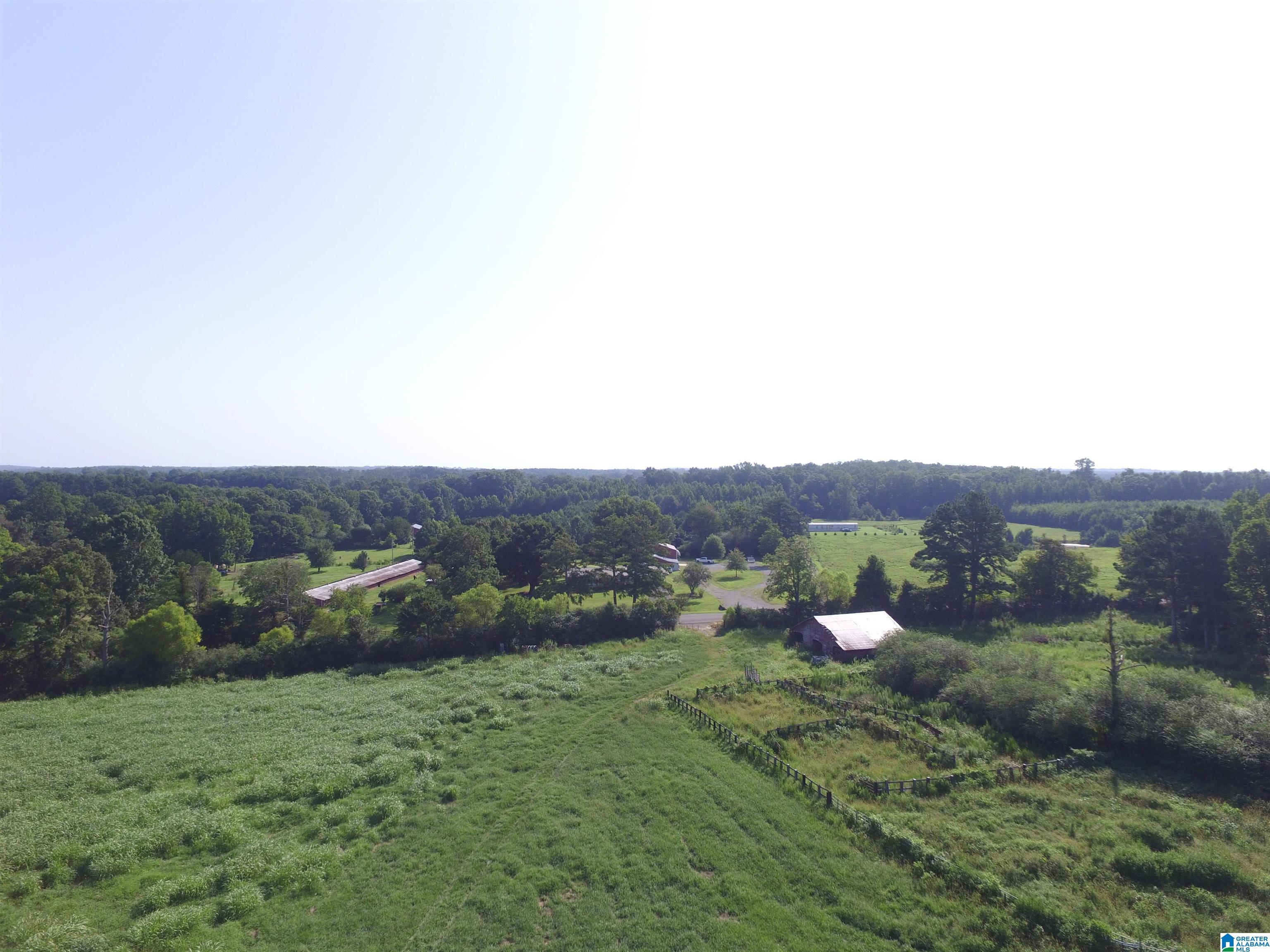 215 COUNTY ROAD 1041