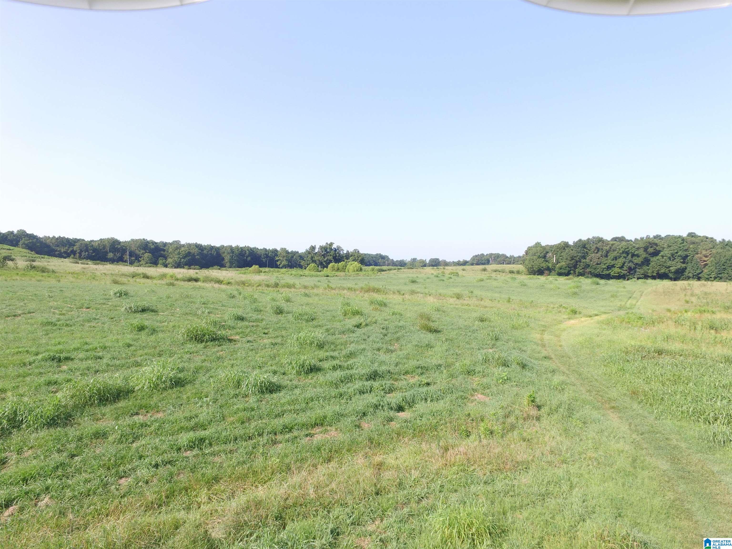 215 COUNTY ROAD 1041