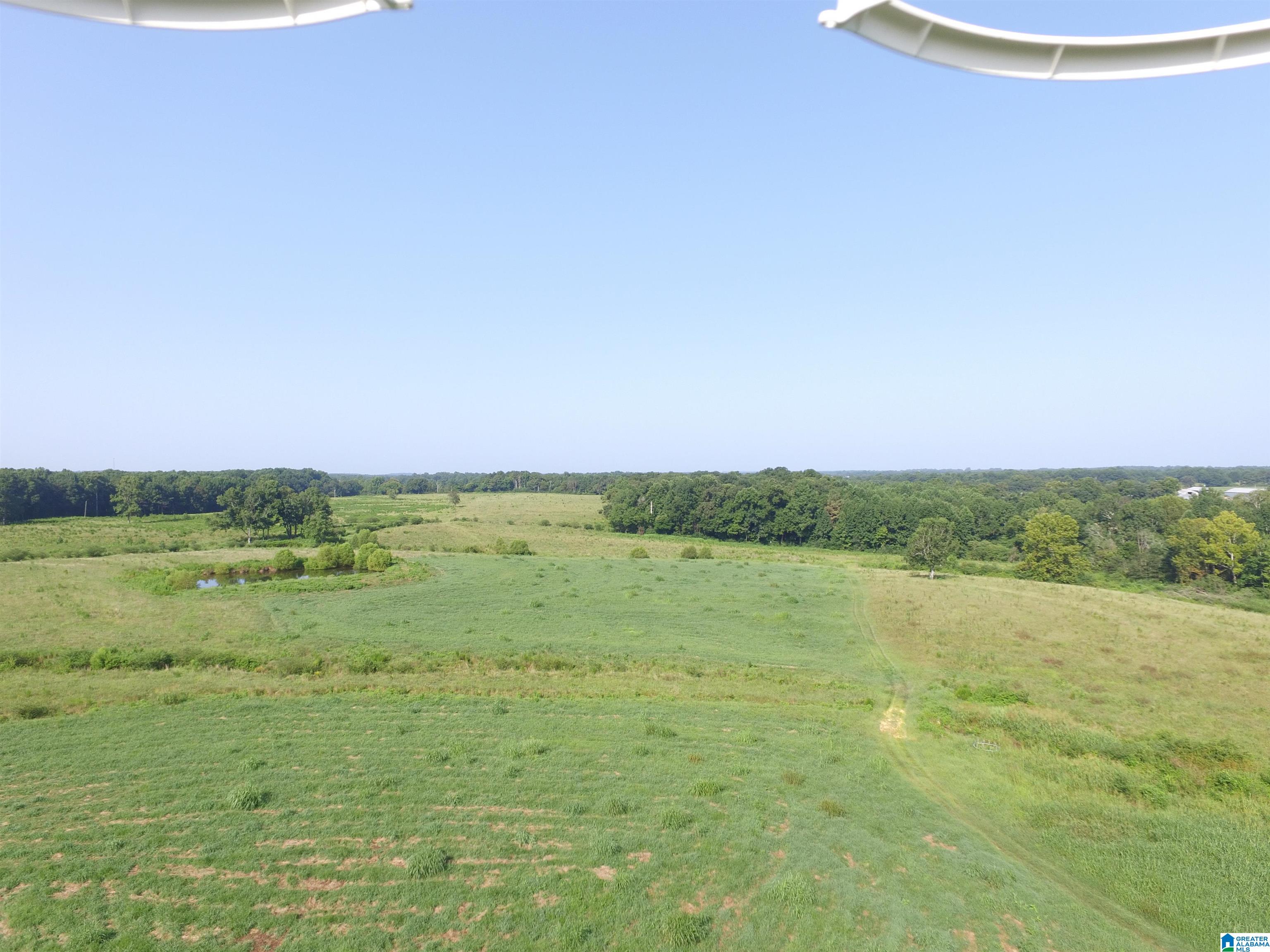215 COUNTY ROAD 1041
