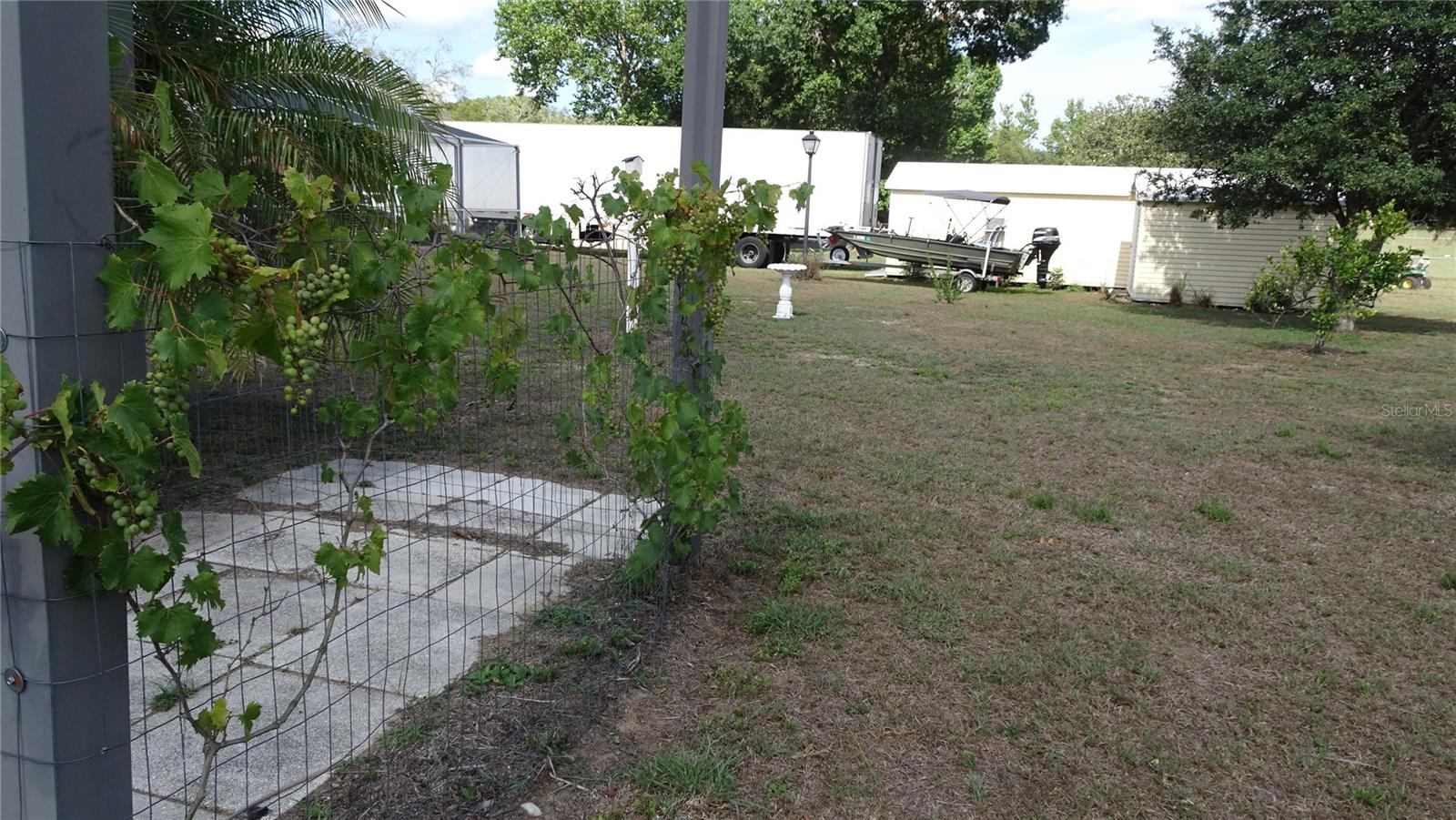 37136 ORANGE BLOSSOM LN