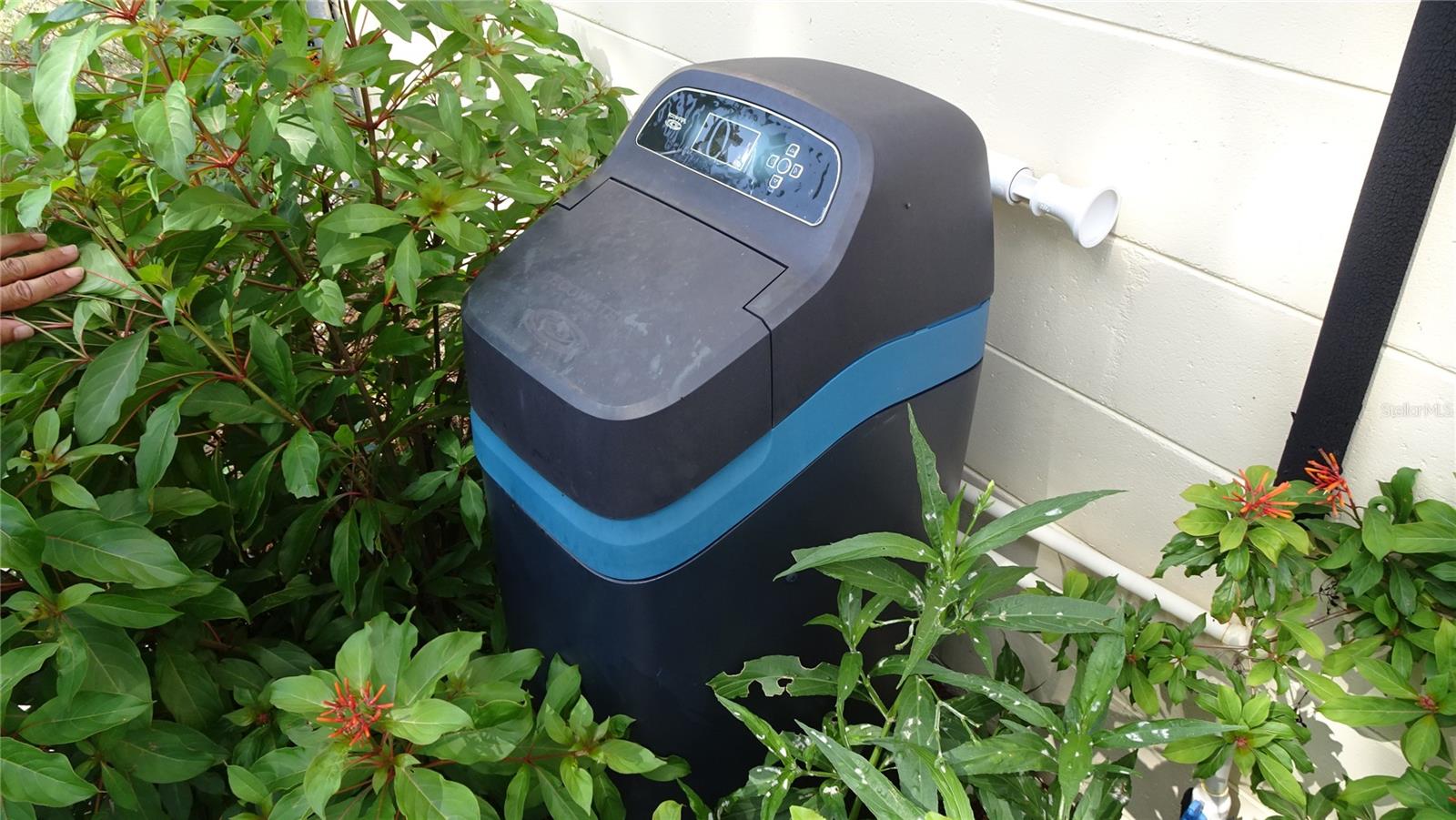 37136 ORANGE BLOSSOM LN