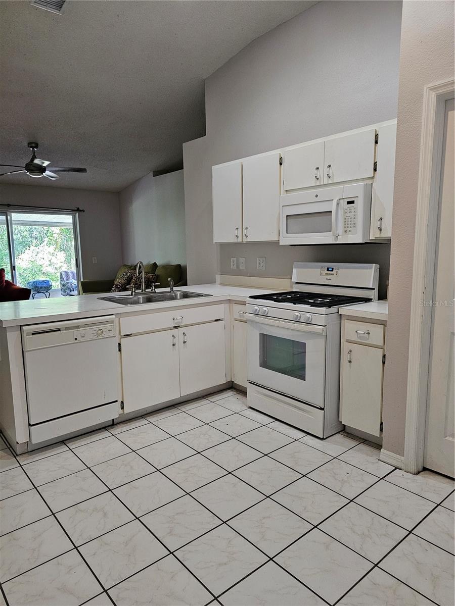 28509 MEADOWRUSH WAY