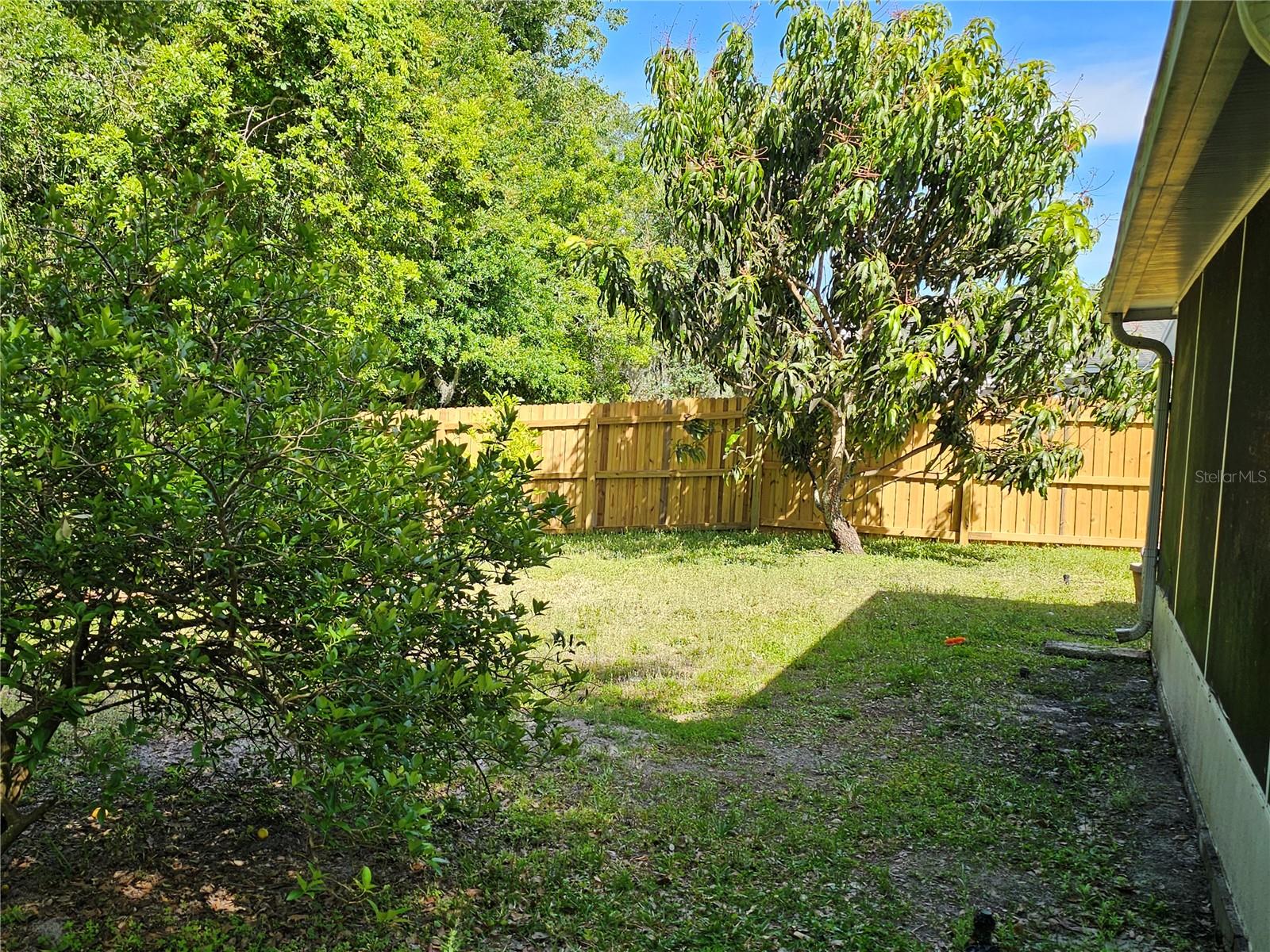 28509 MEADOWRUSH WAY