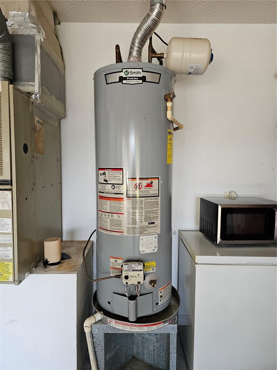 28509 MEADOWRUSH WAY