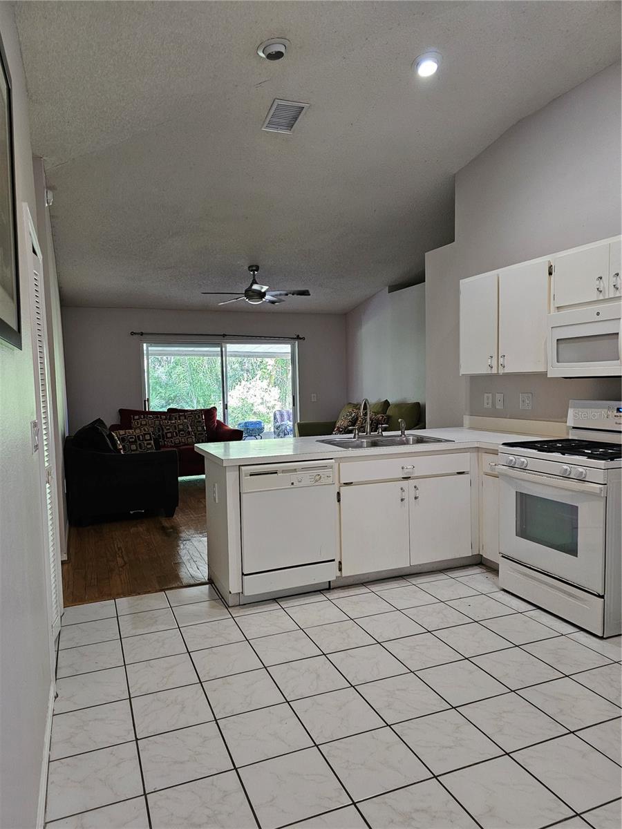 28509 MEADOWRUSH WAY