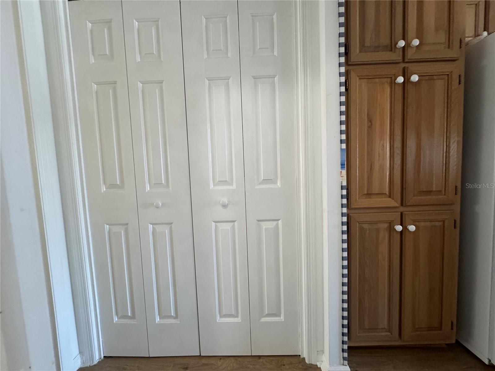 35248 TIFFANI CT #Lot 064