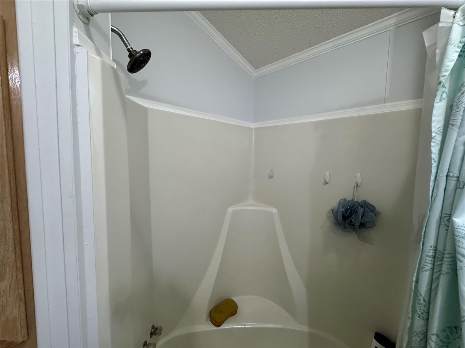 35248 TIFFANI CT #Lot 064