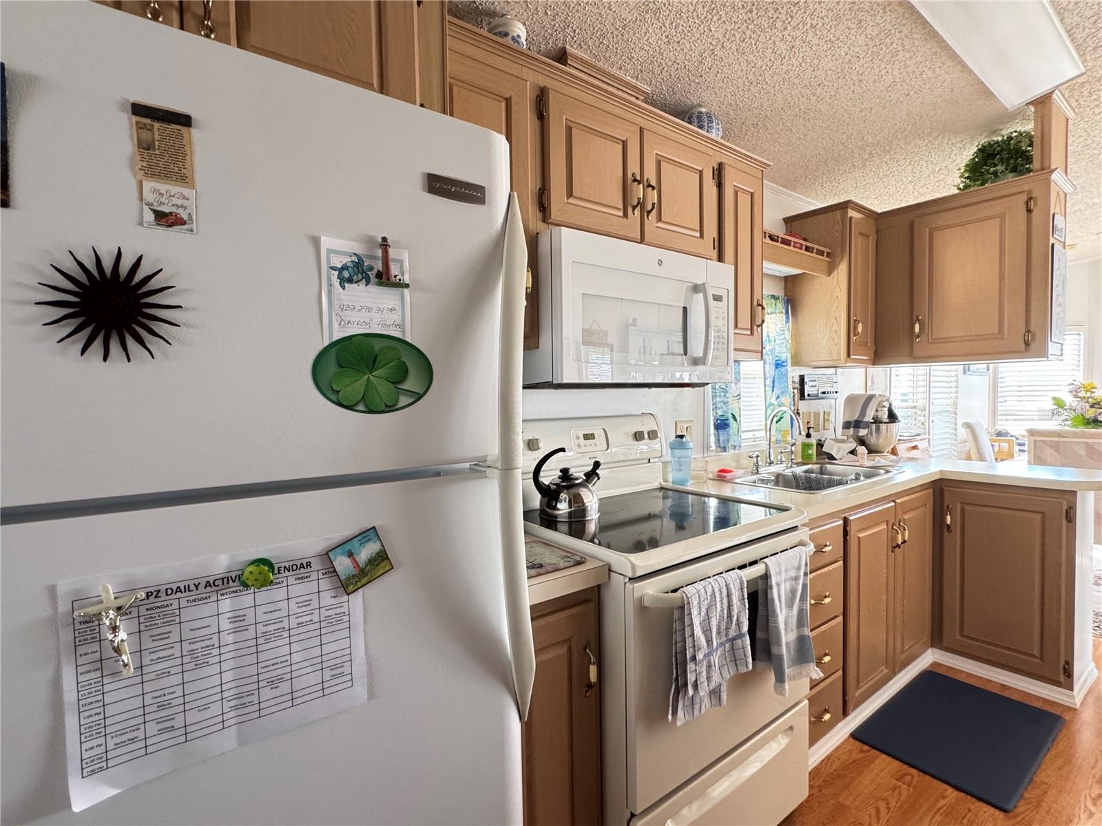 35109 GARBER LN #Lot 176