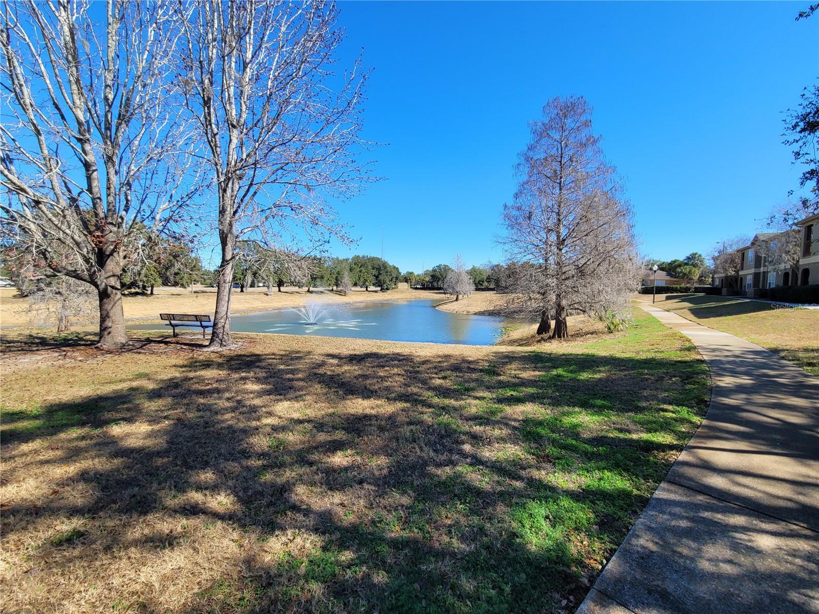 36106 LAKE CHASE BLVD #201