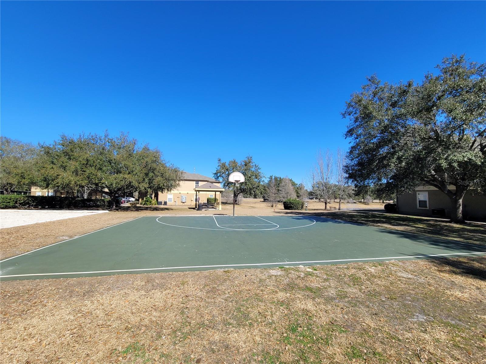 36106 LAKE CHASE BLVD #201