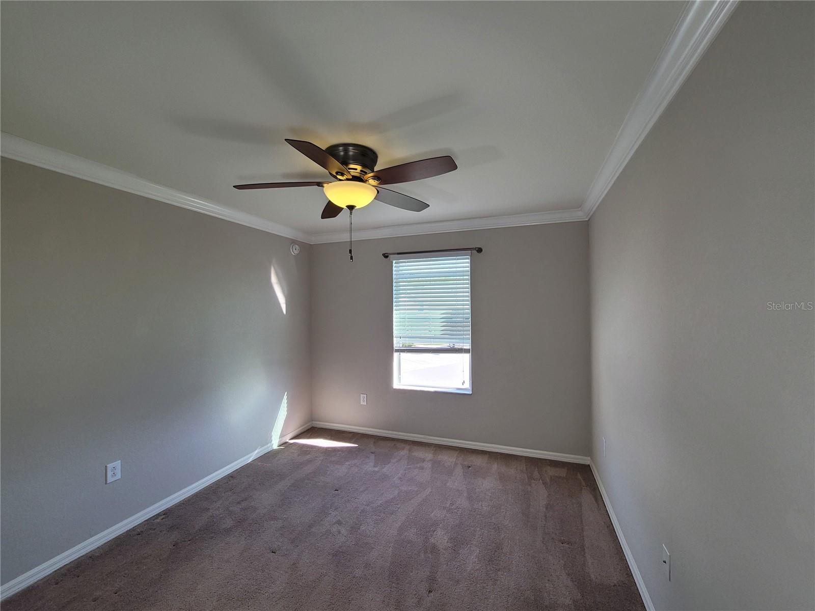 27542 DESERT WILLOW WAY