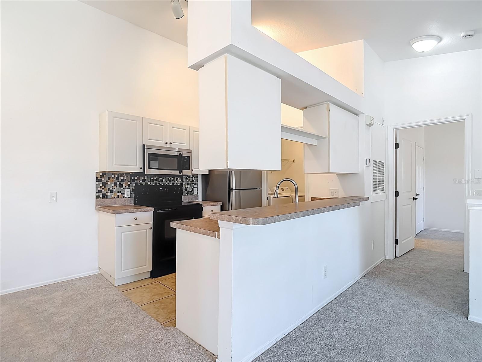 36106 LAKE CHASE BLVD #201