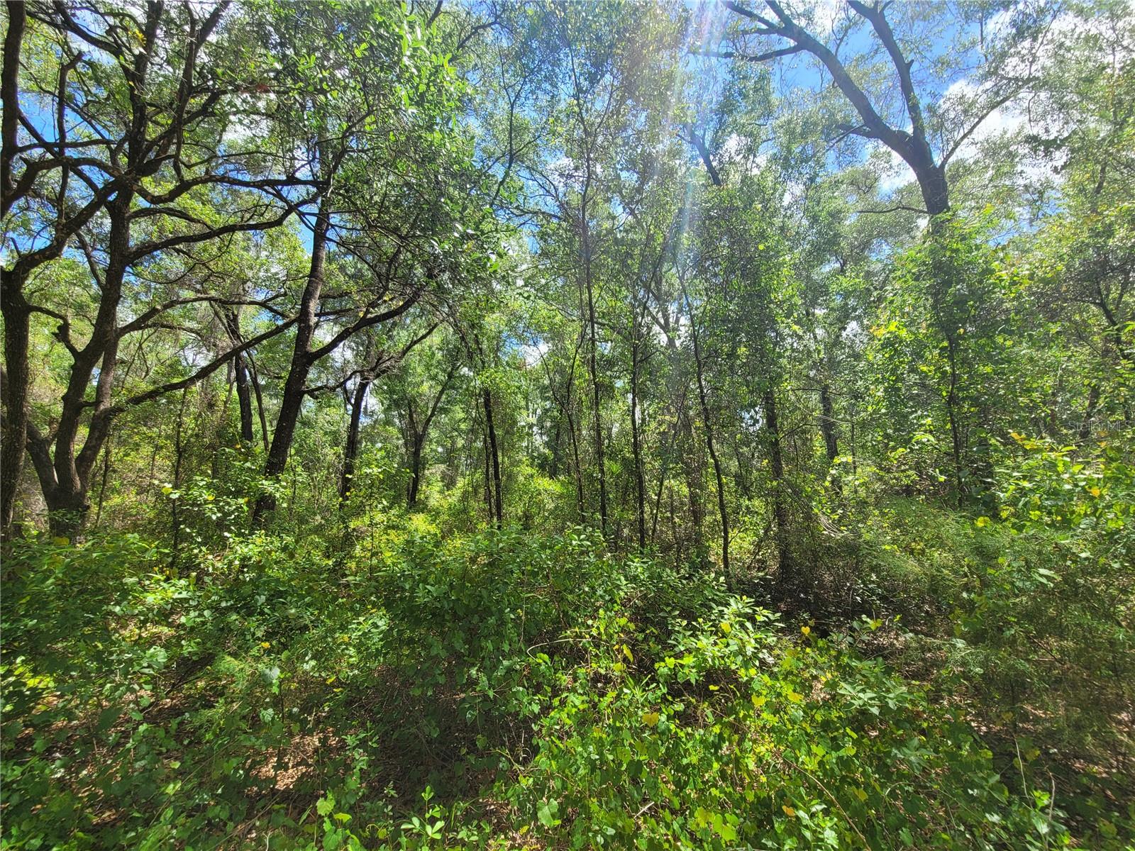 912 FERNCREEK AVE