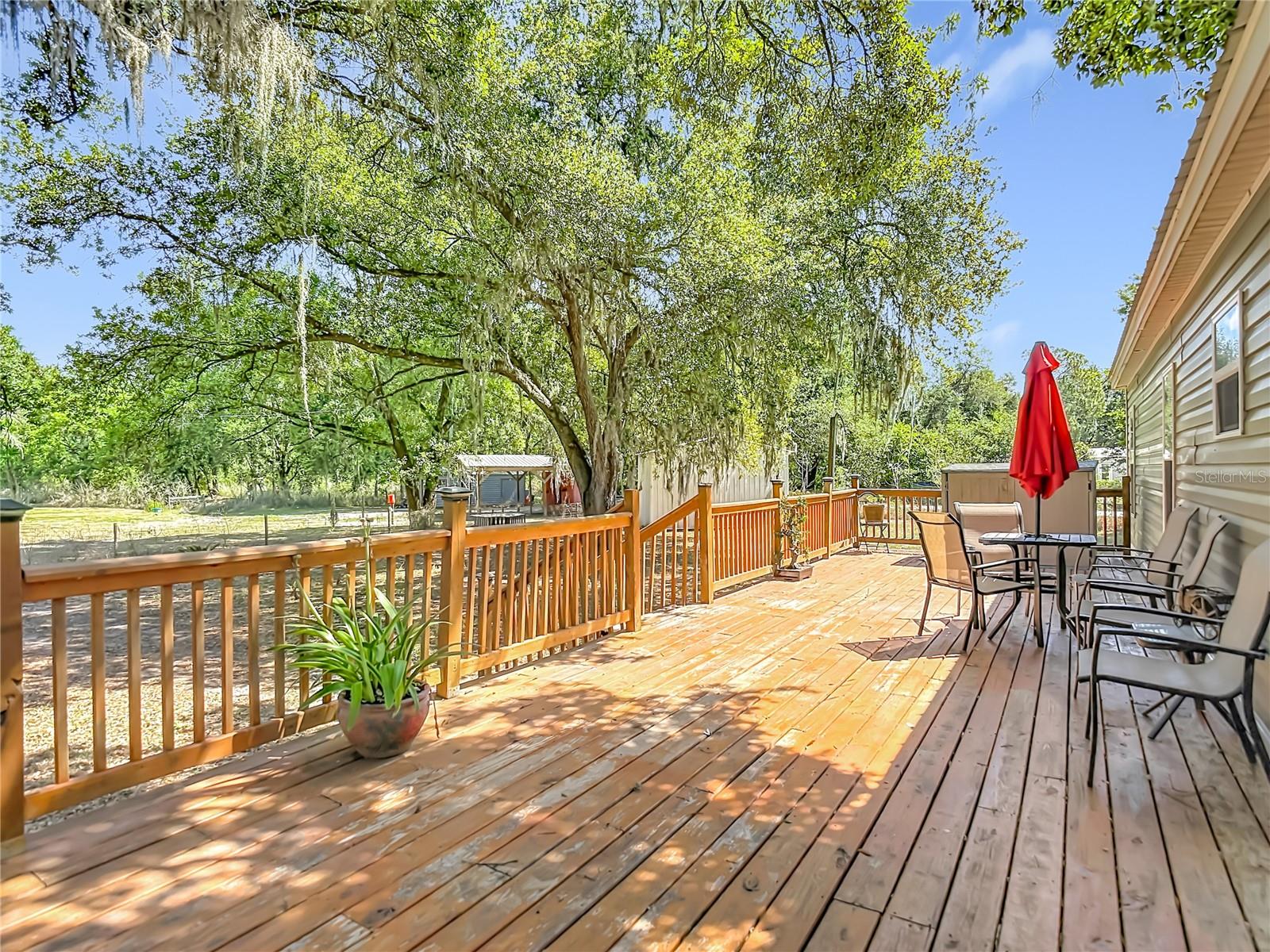 5 Acre Homestead Property in Zephyrhills FL | RV Parking + Pole Barn | Coldwell Banker AquaTerra