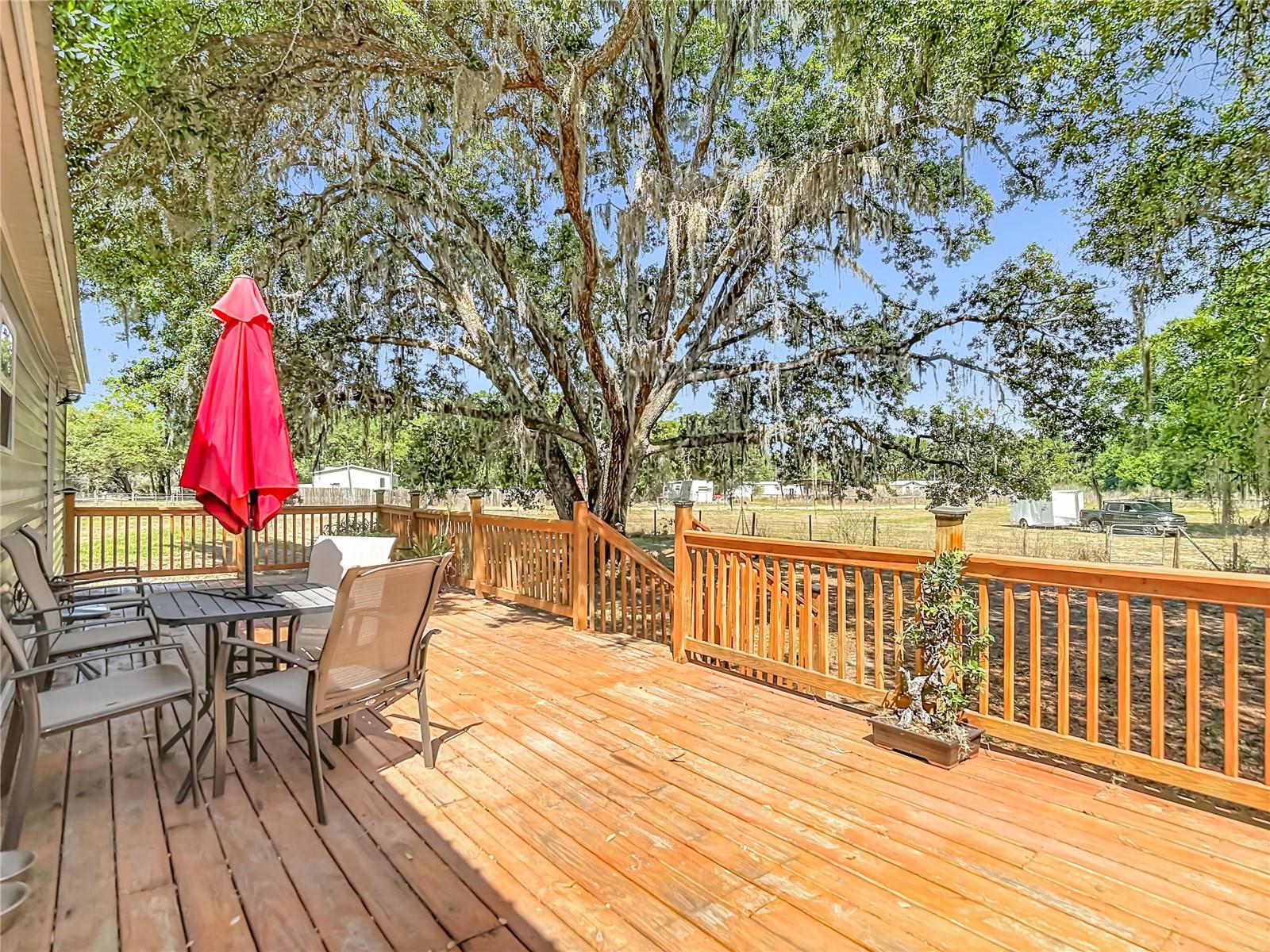 5 Acre Homestead Property in Zephyrhills FL | RV Parking + Pole Barn | Coldwell Banker AquaTerra