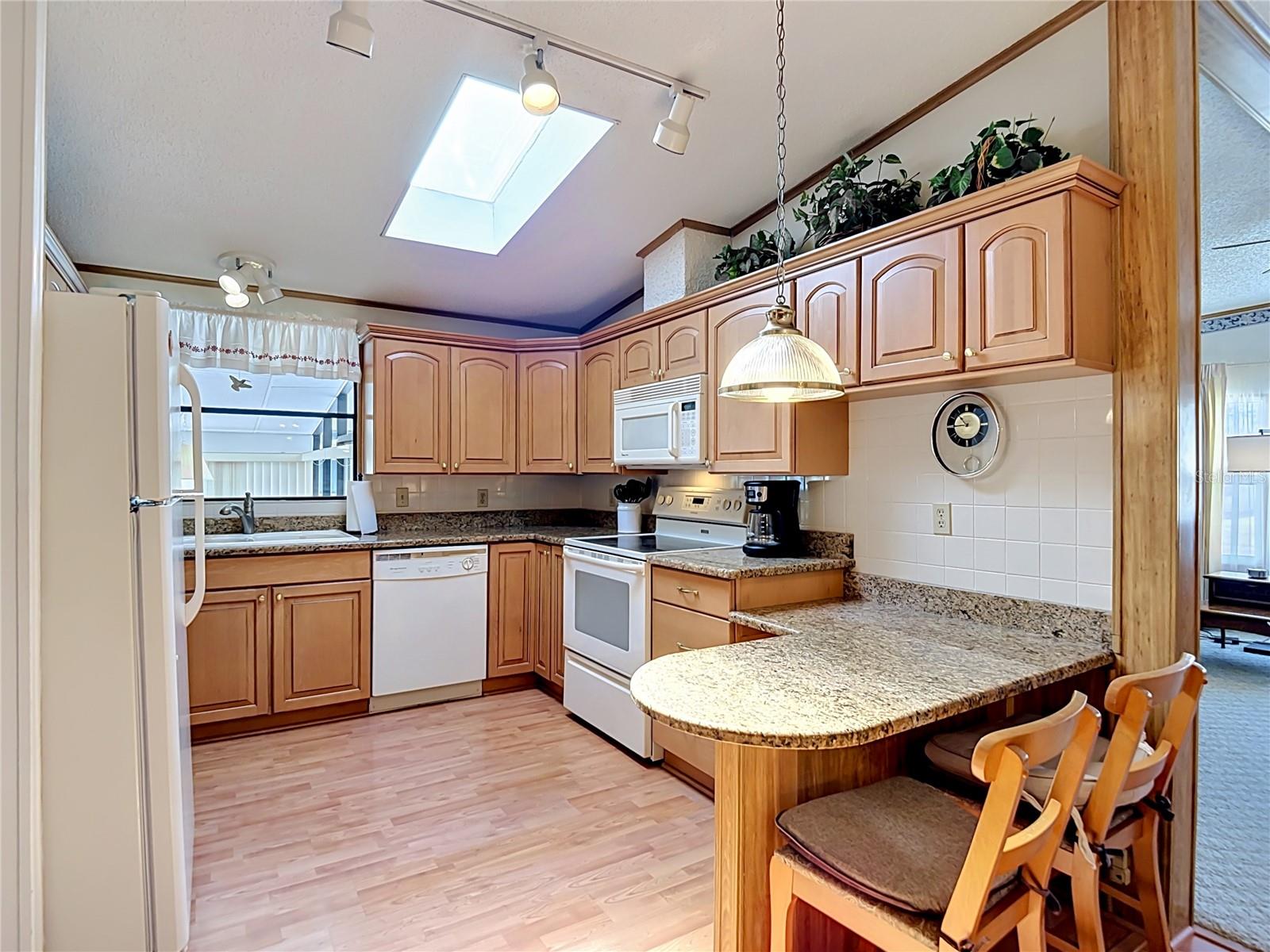 35801 BRISA DR