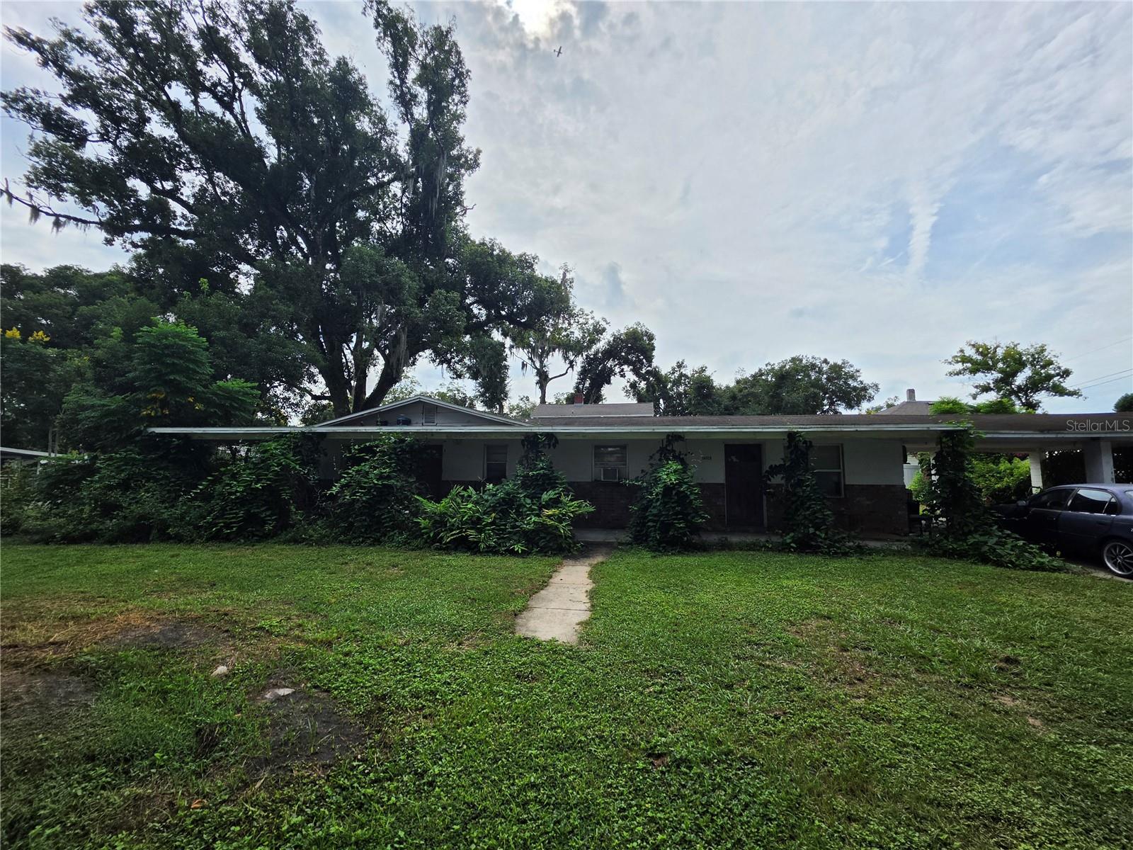 Single-story house behind overgrown shrubs, with a concrete walkway and a large oak tree.