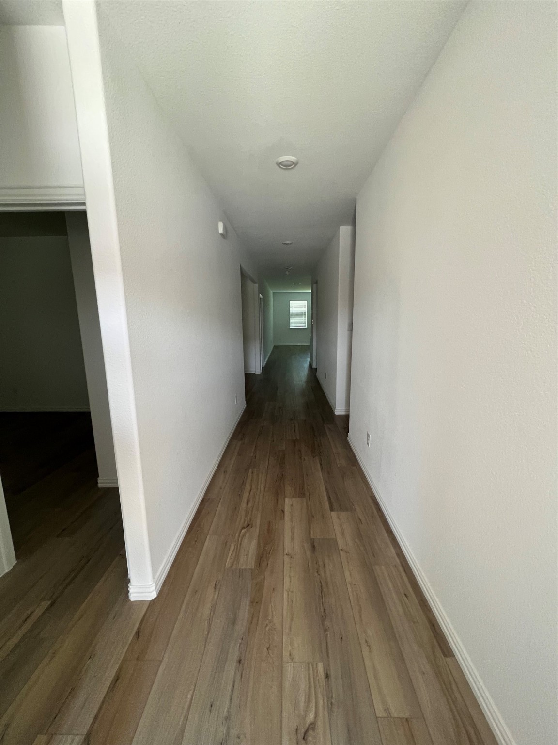 8024 Acanthus Street