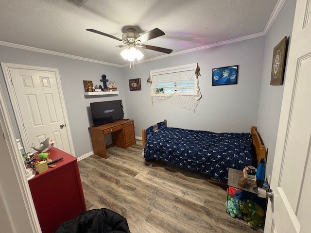 263 Legendary Lane