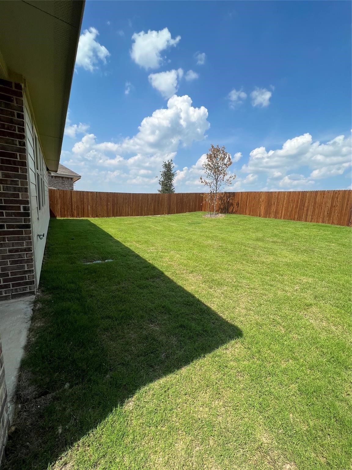 8024 Acanthus Street