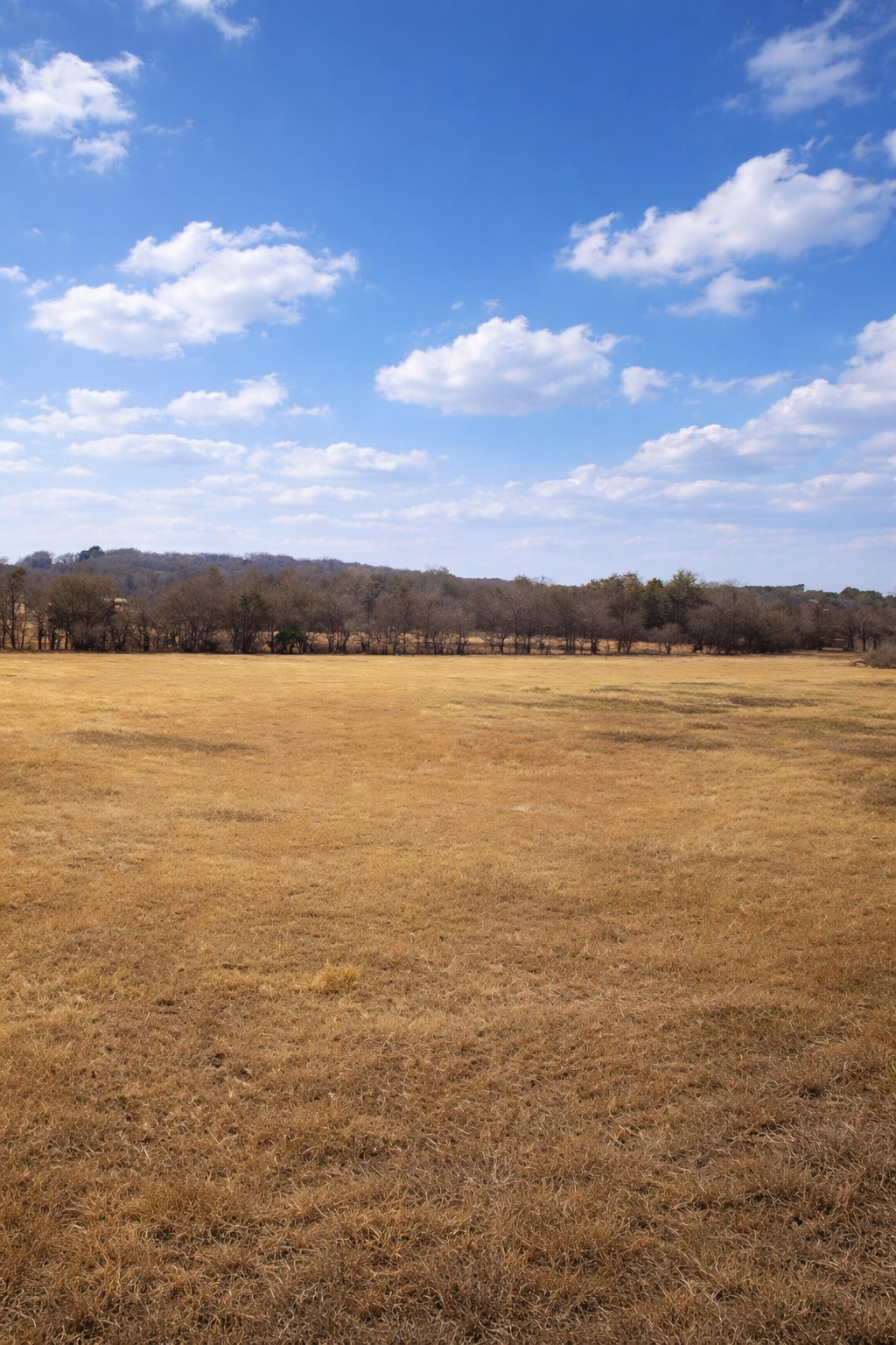 Lot 3 408 County Road 909