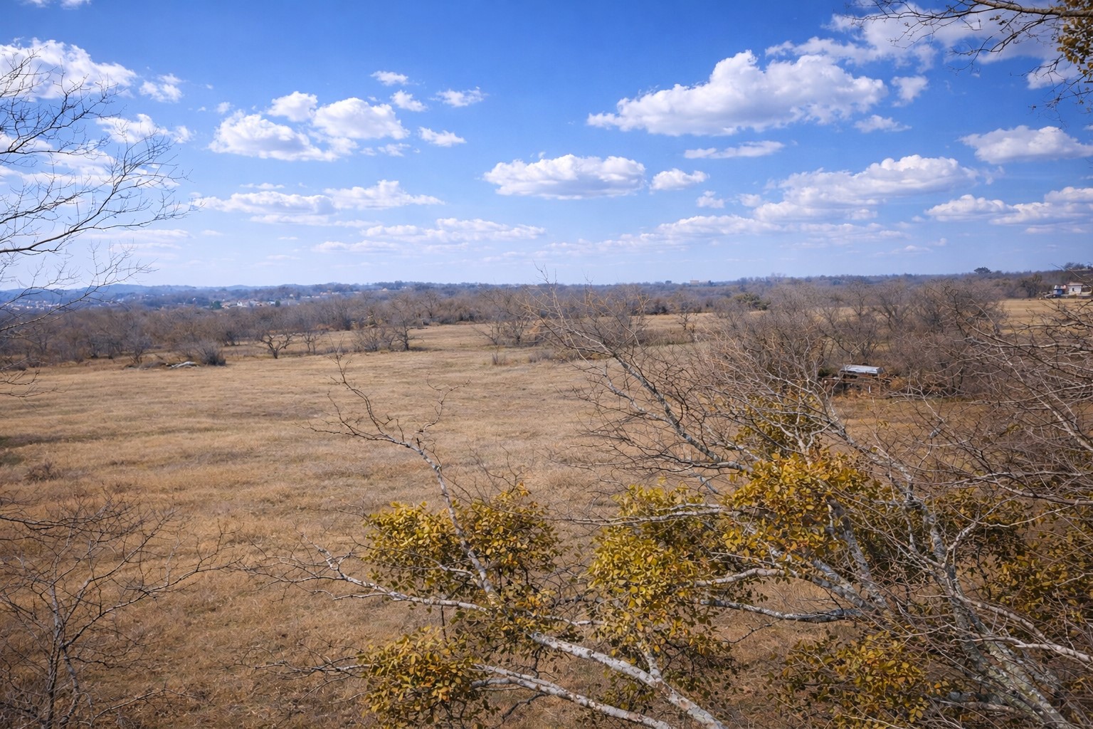 Lot 3 408 County Road 909