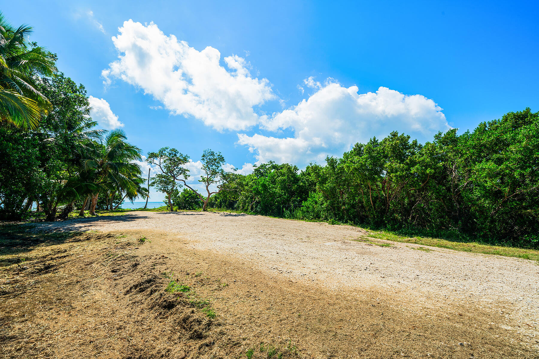 77481 Overseas Highway