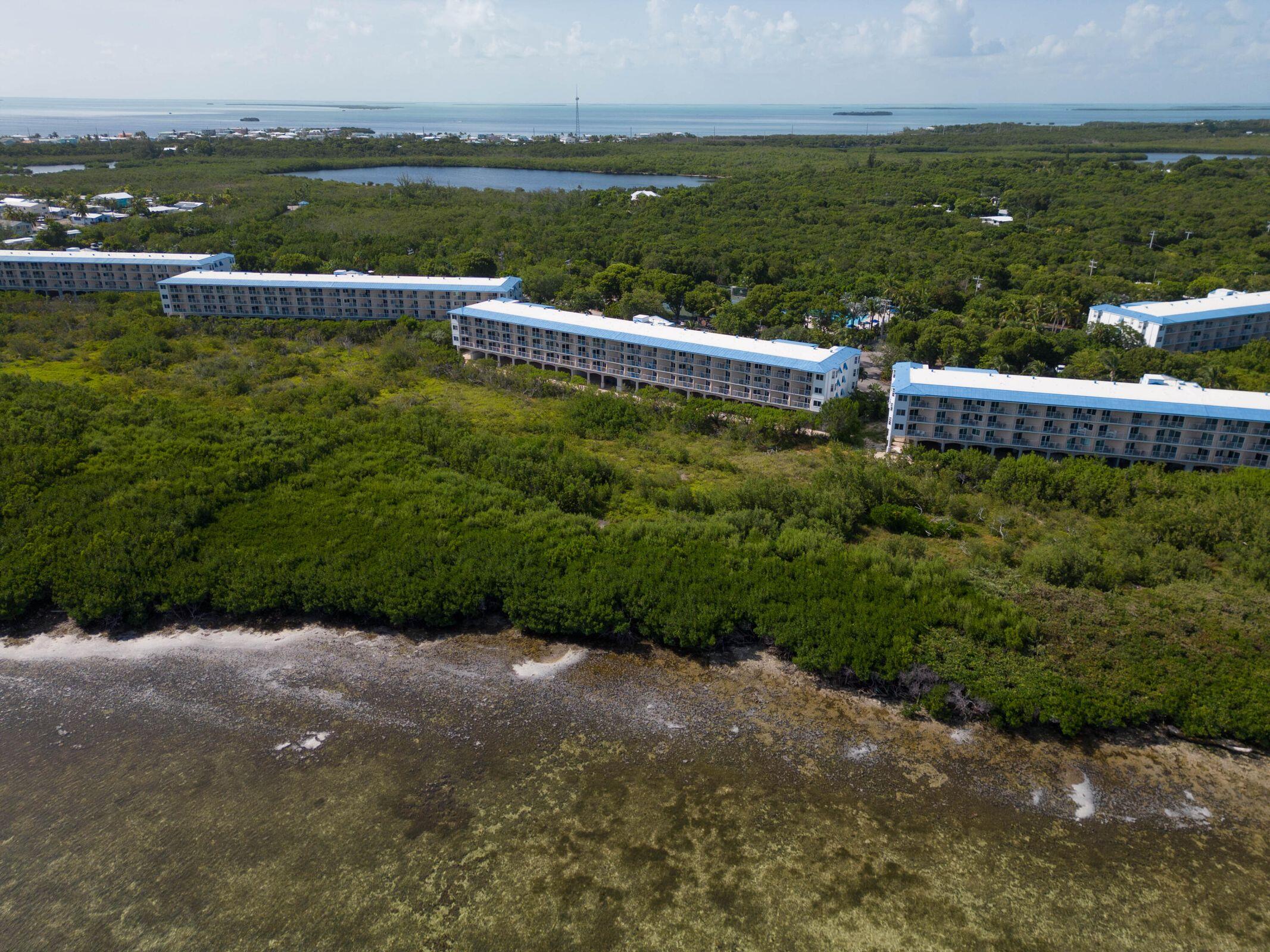 500 Burton Drive Unit: 3302