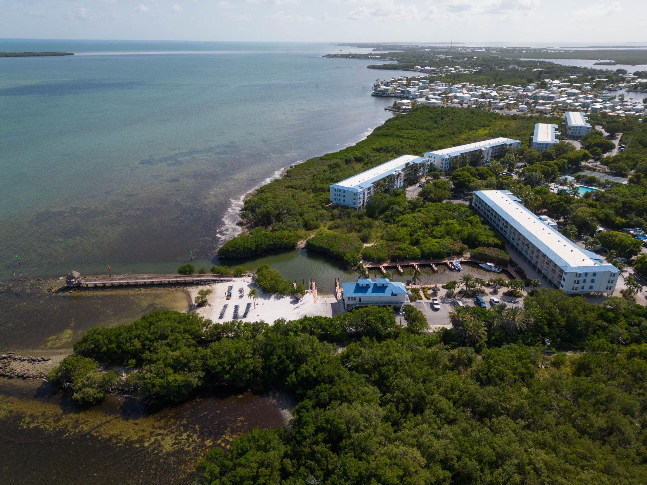 500 Burton Drive Unit: 3302