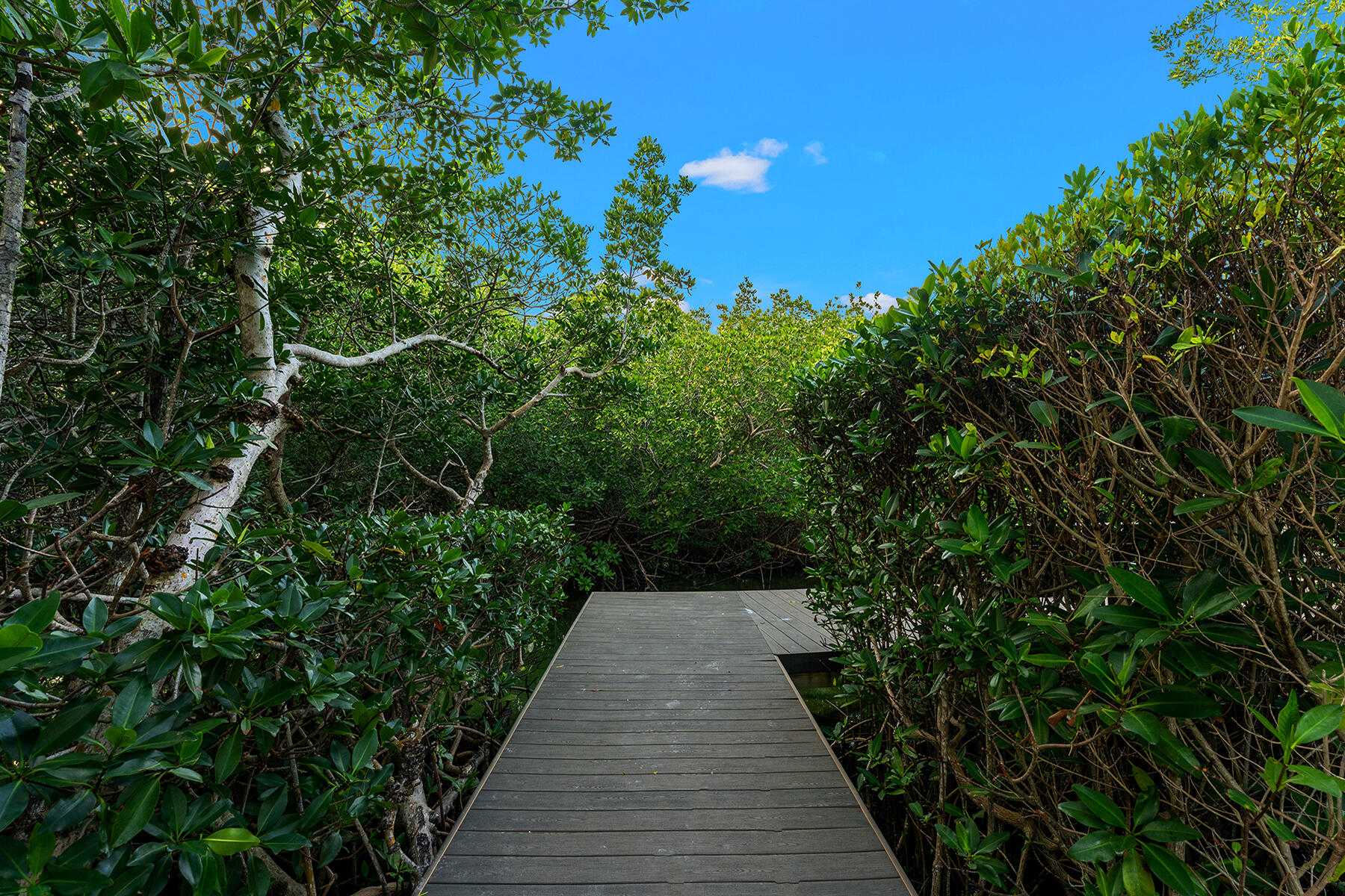 80908 Overseas Highway