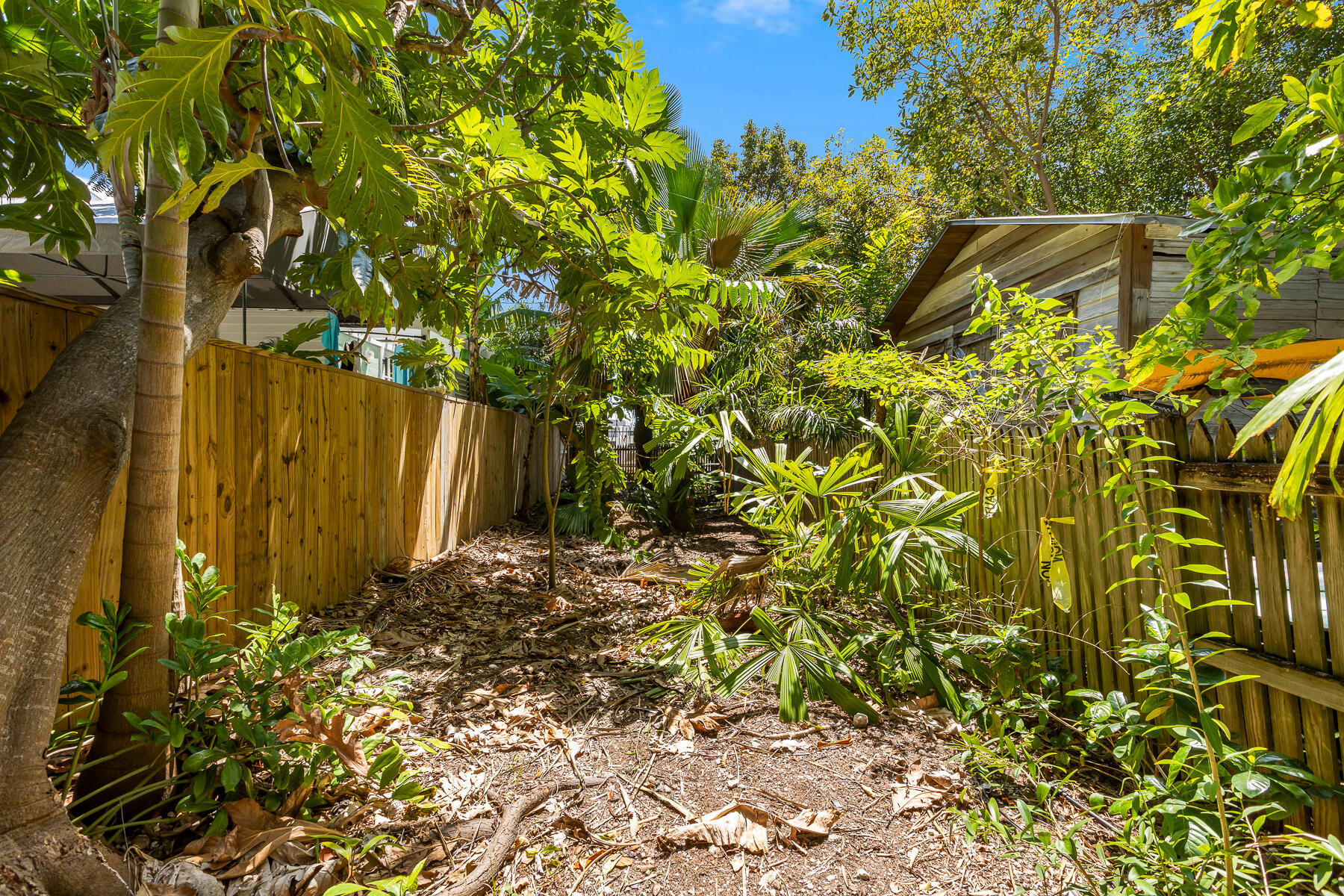 626 Canfield Lane