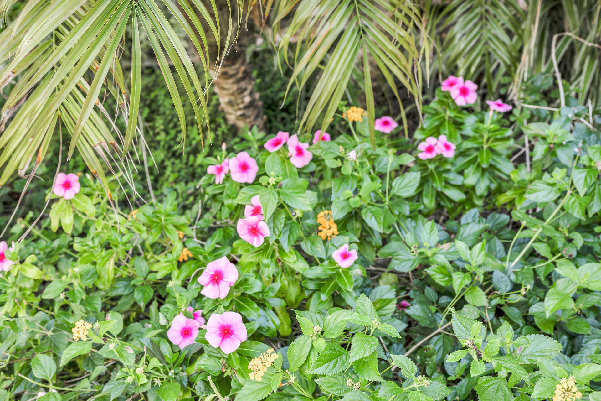 1101 W Ocean Drive Unit: 14