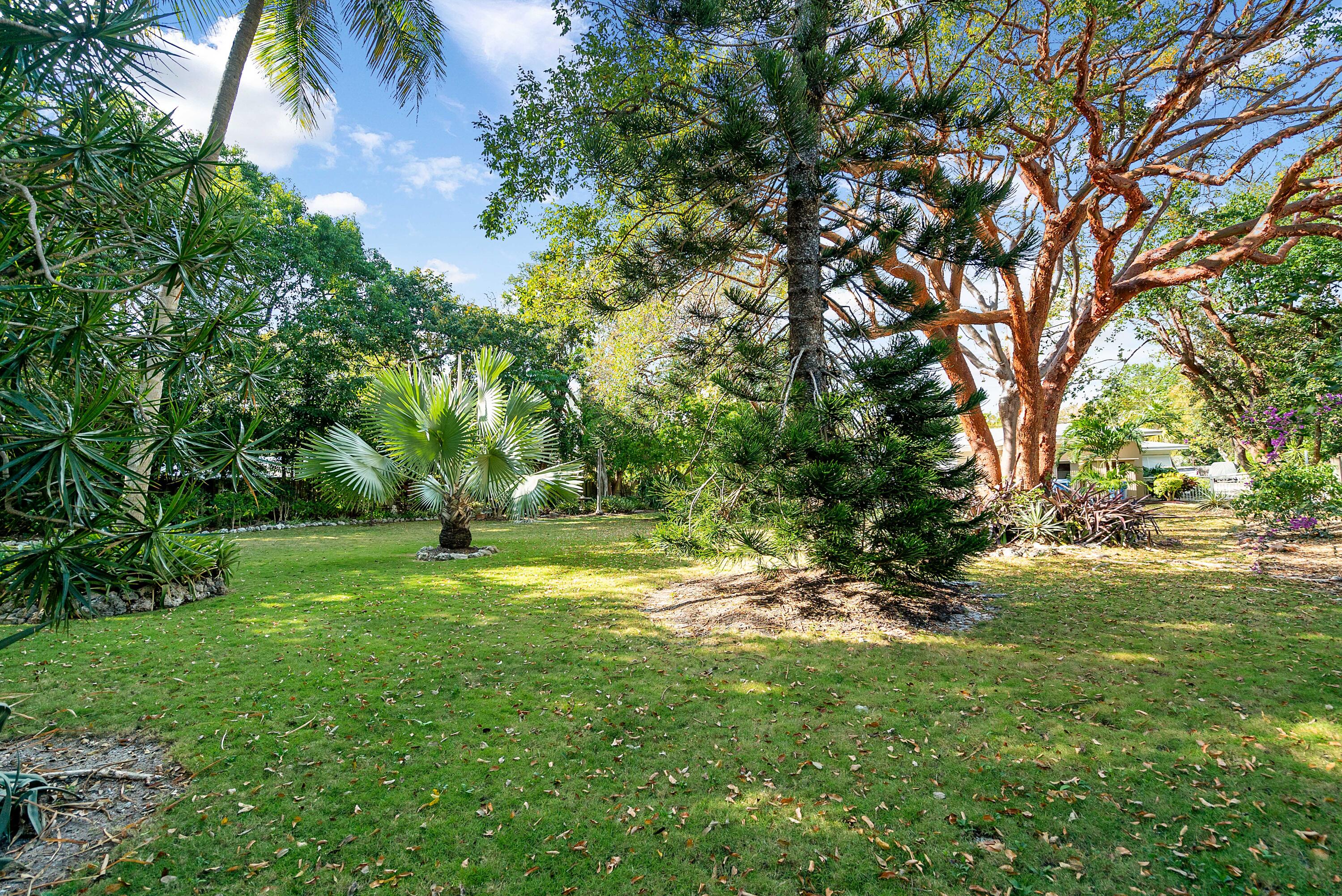 118 Pippin Drive