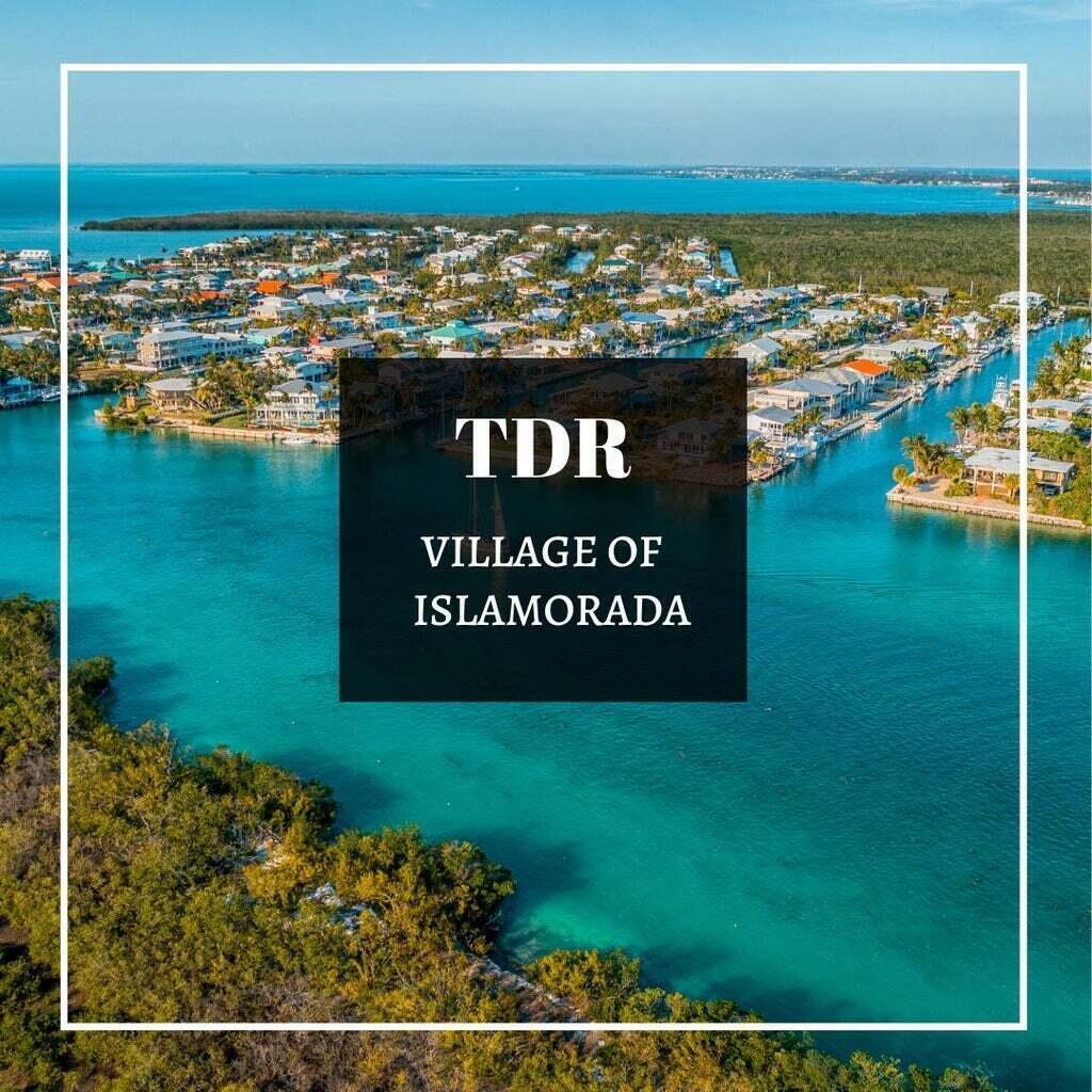 1 TDR