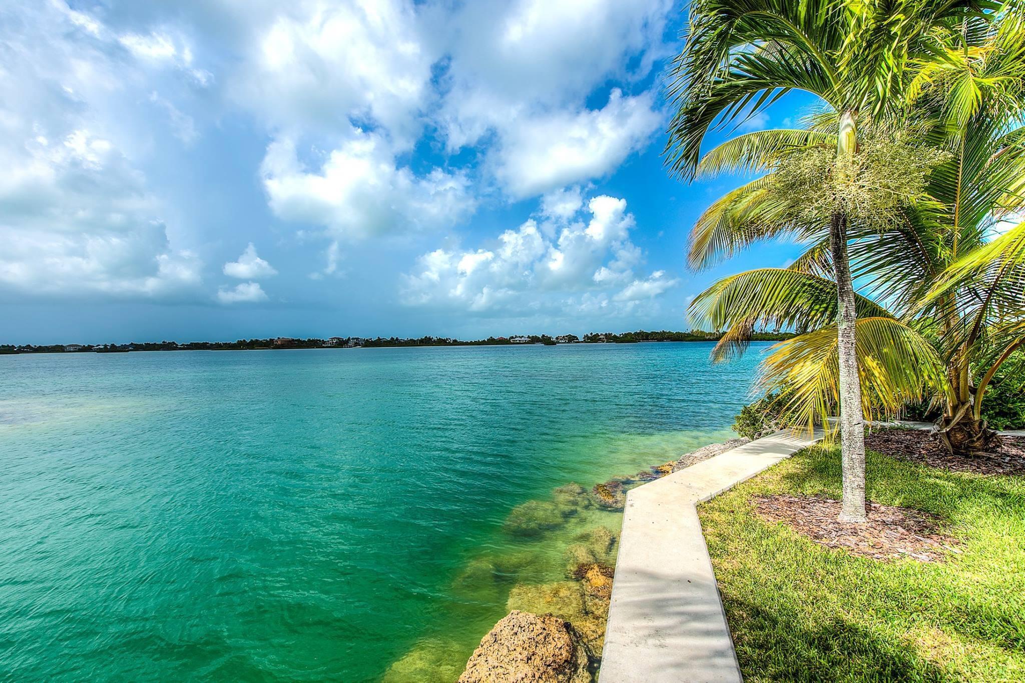 24 Jade Drive Unit: 4