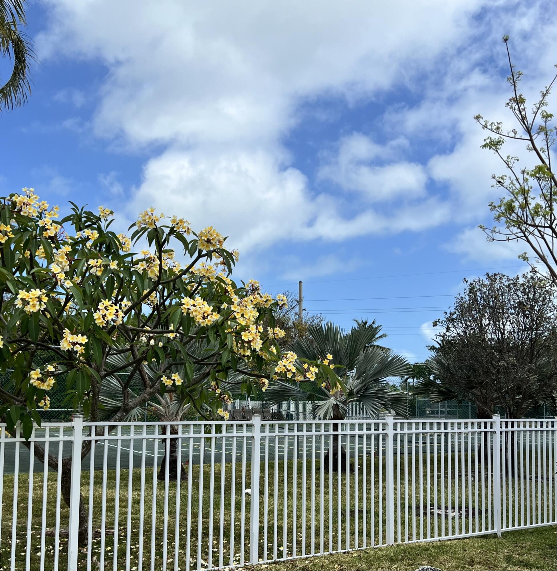 24 Jade Drive Unit: 4