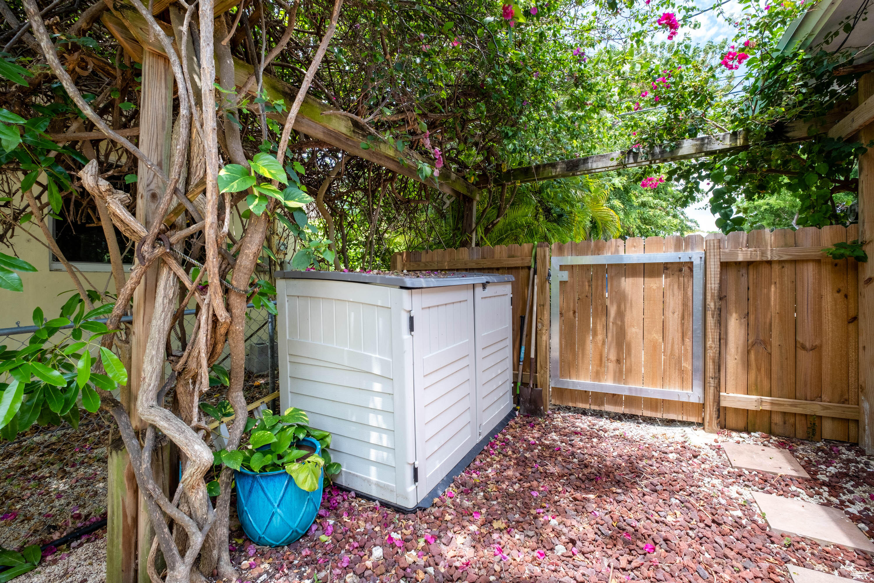 252 Hibiscus Street