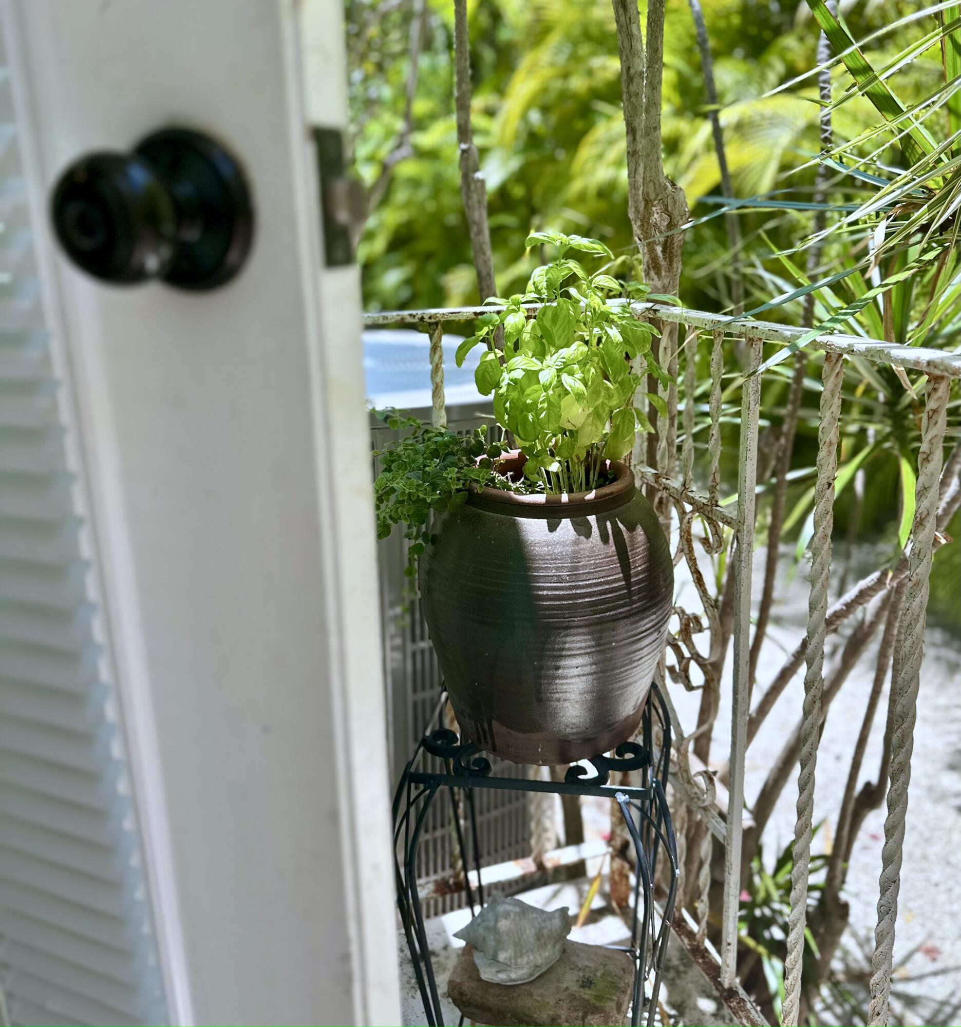 252 Hibiscus Street