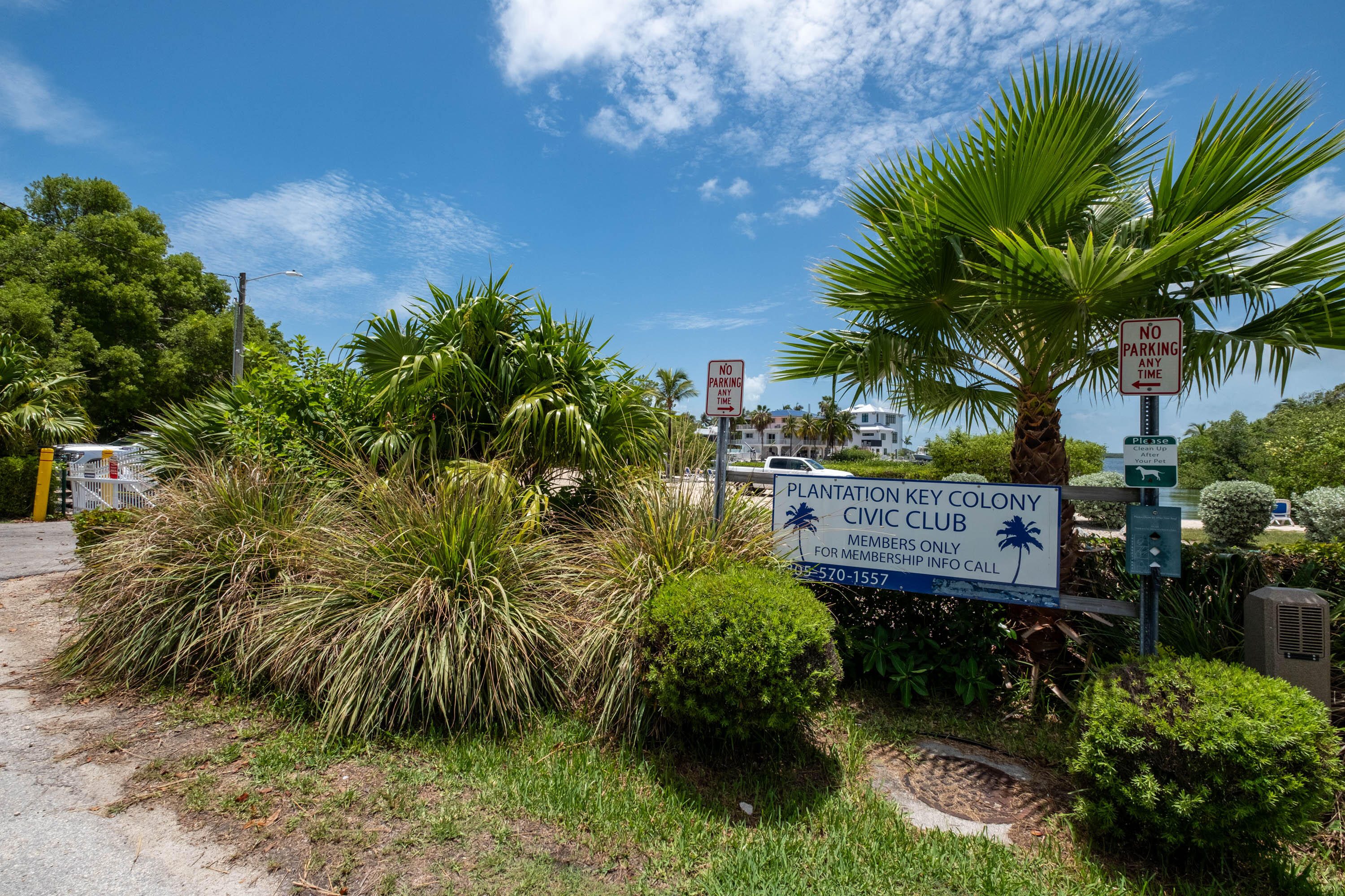 252 Hibiscus Street