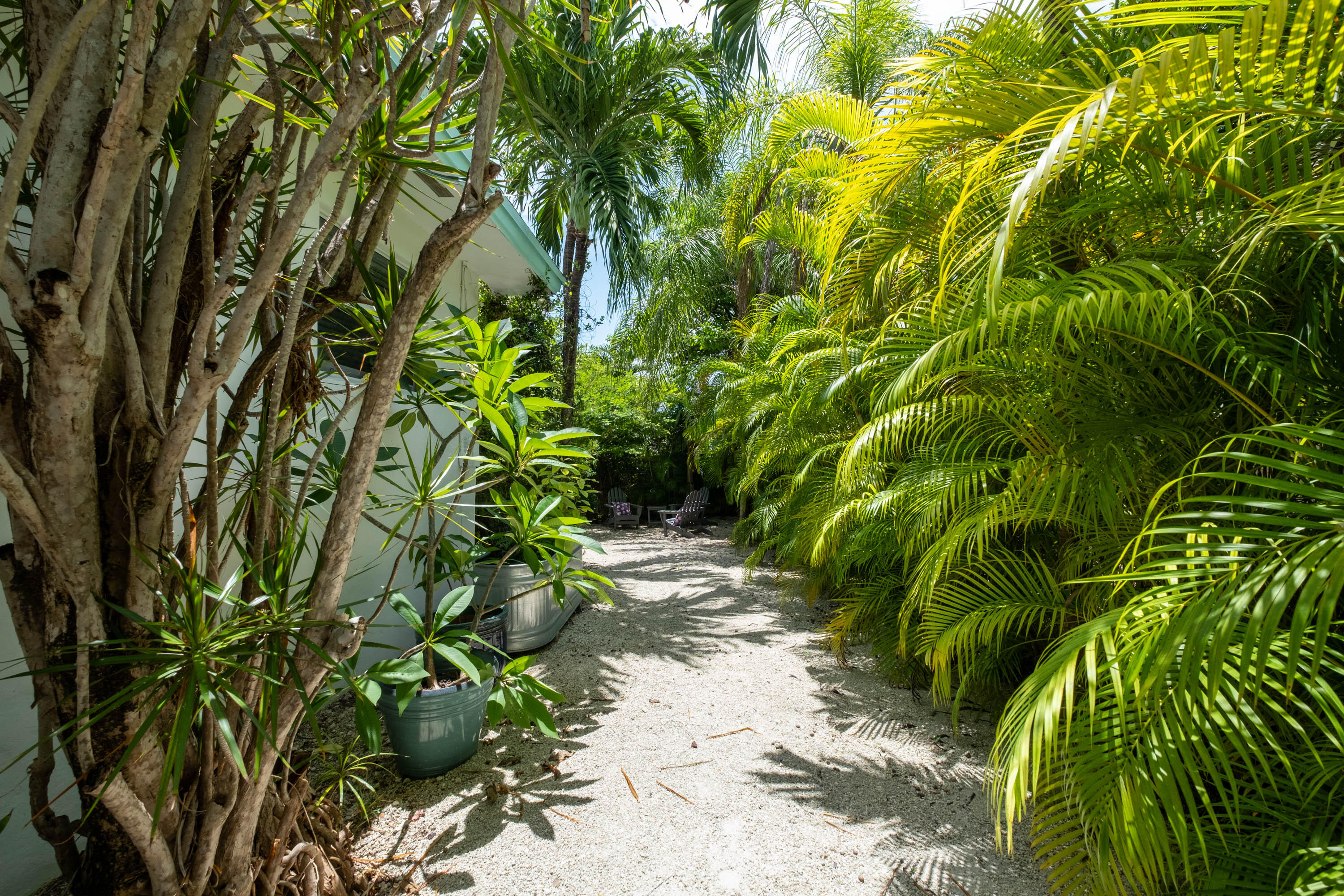 252 Hibiscus Street