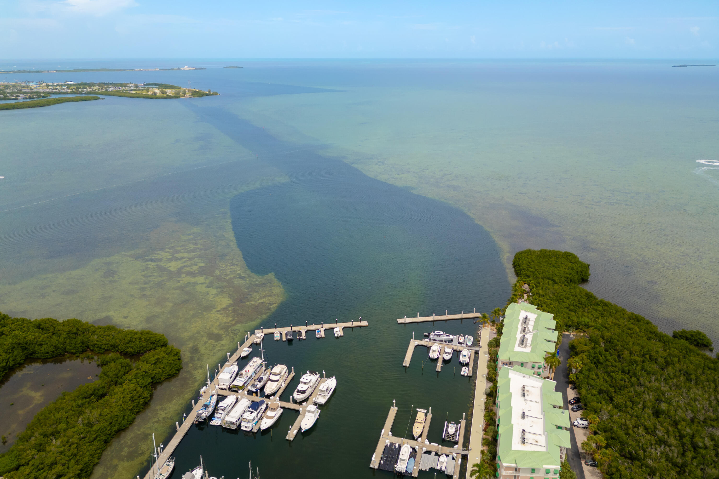 5555 College Road Unit: 4