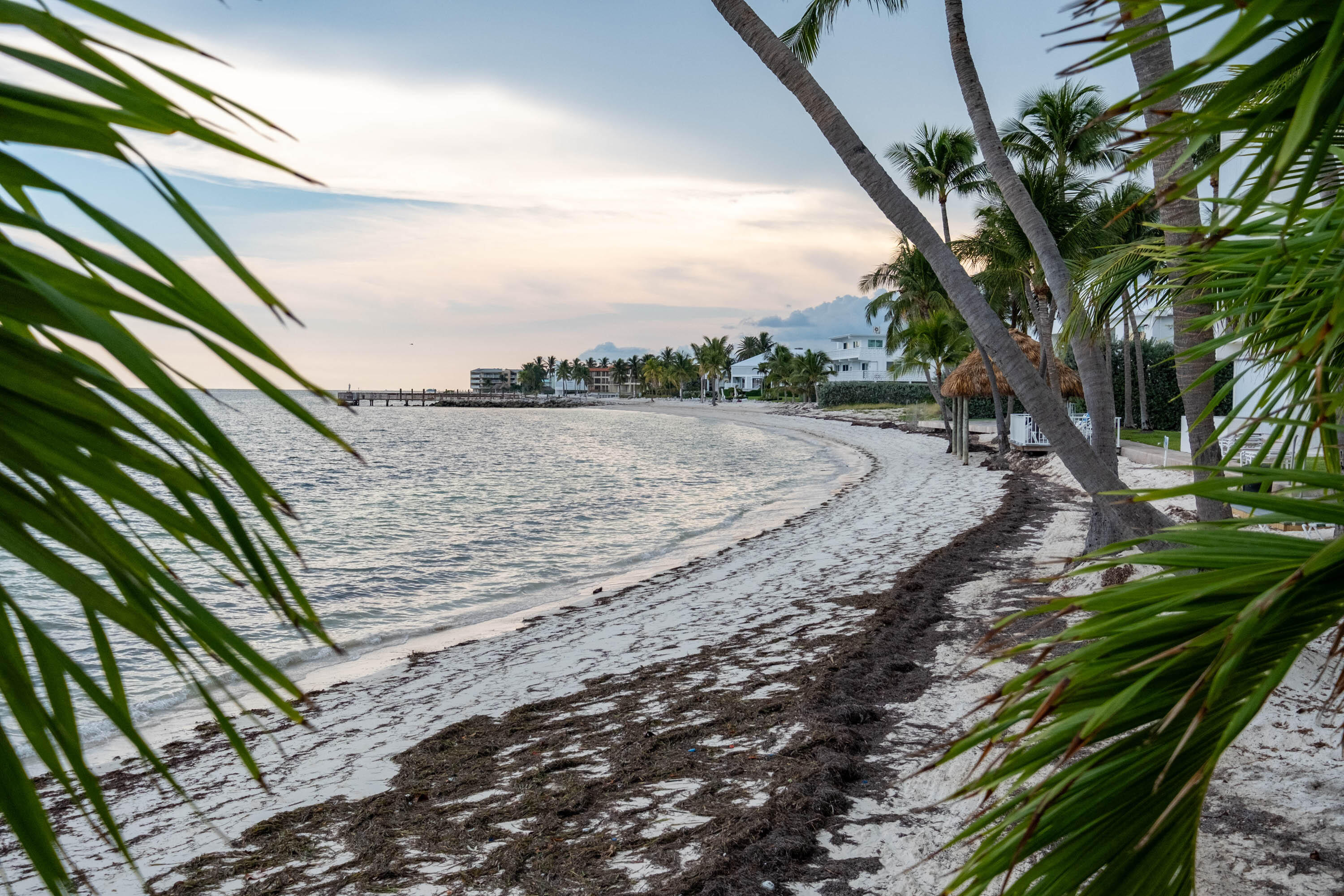 601 W Ocean Drive Unit: 414