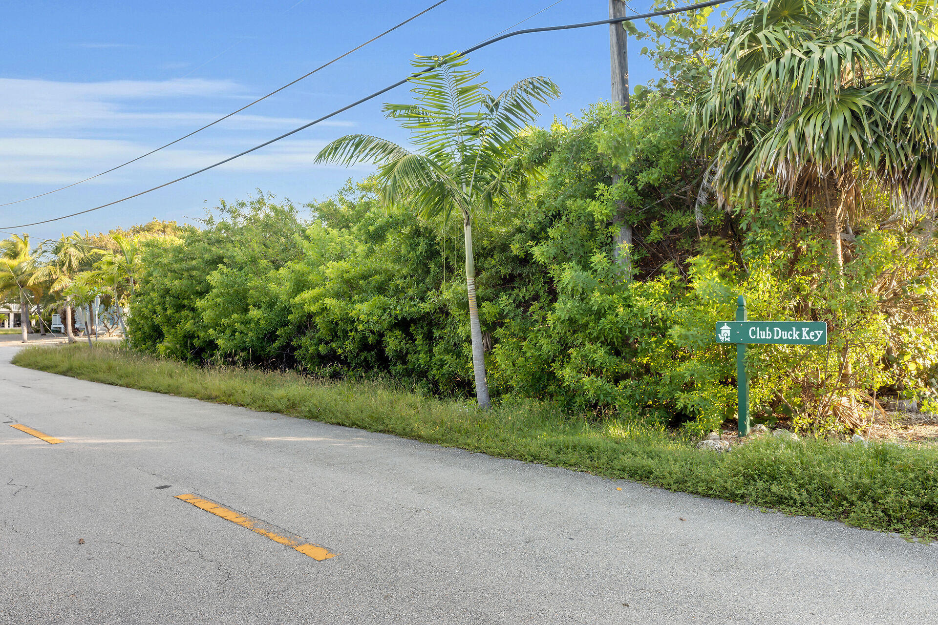 6 Nassau Street