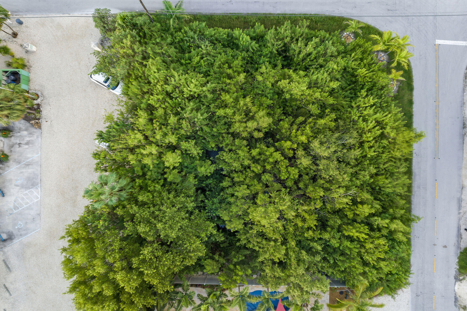 6 Nassau Street
